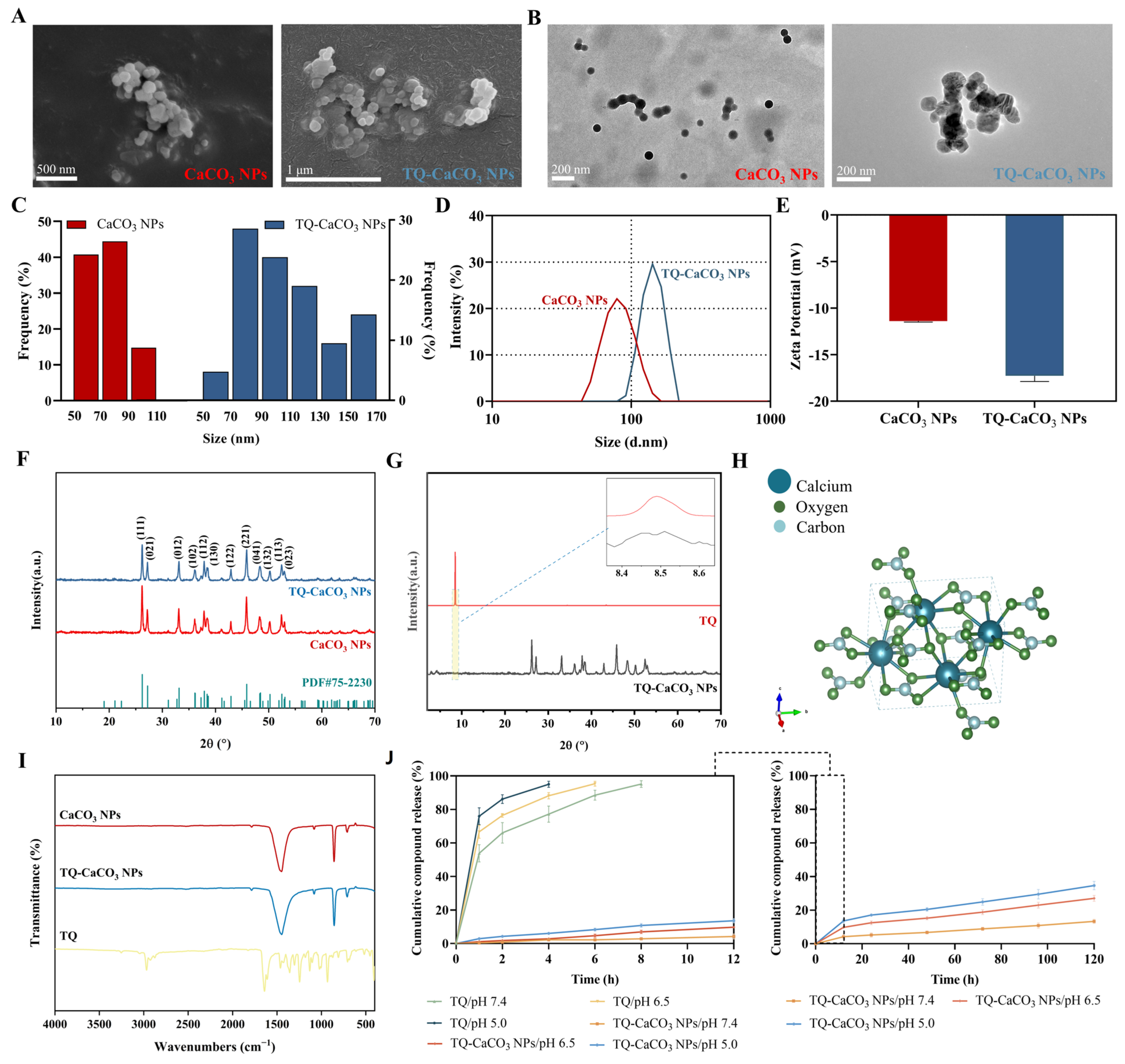 Antioxidants 13 01030 g002