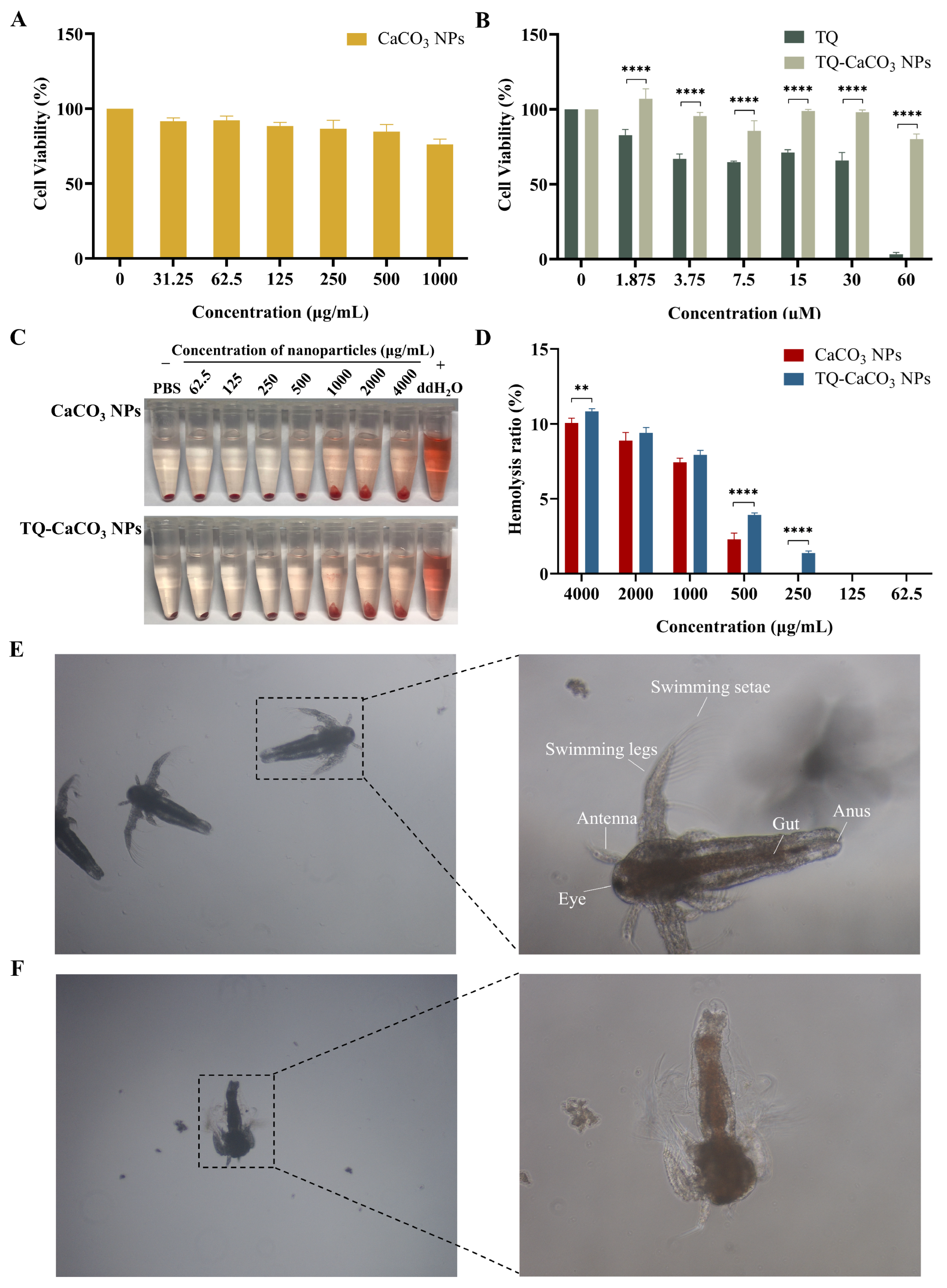 Antioxidants 13 01030 g003