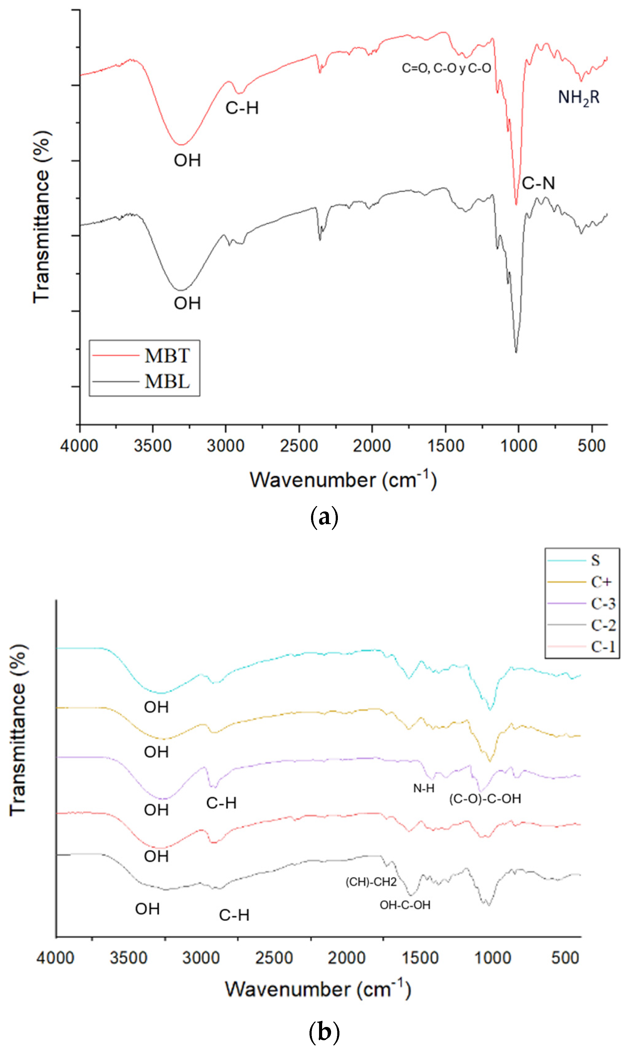 Antioxidants 13 01031 g004