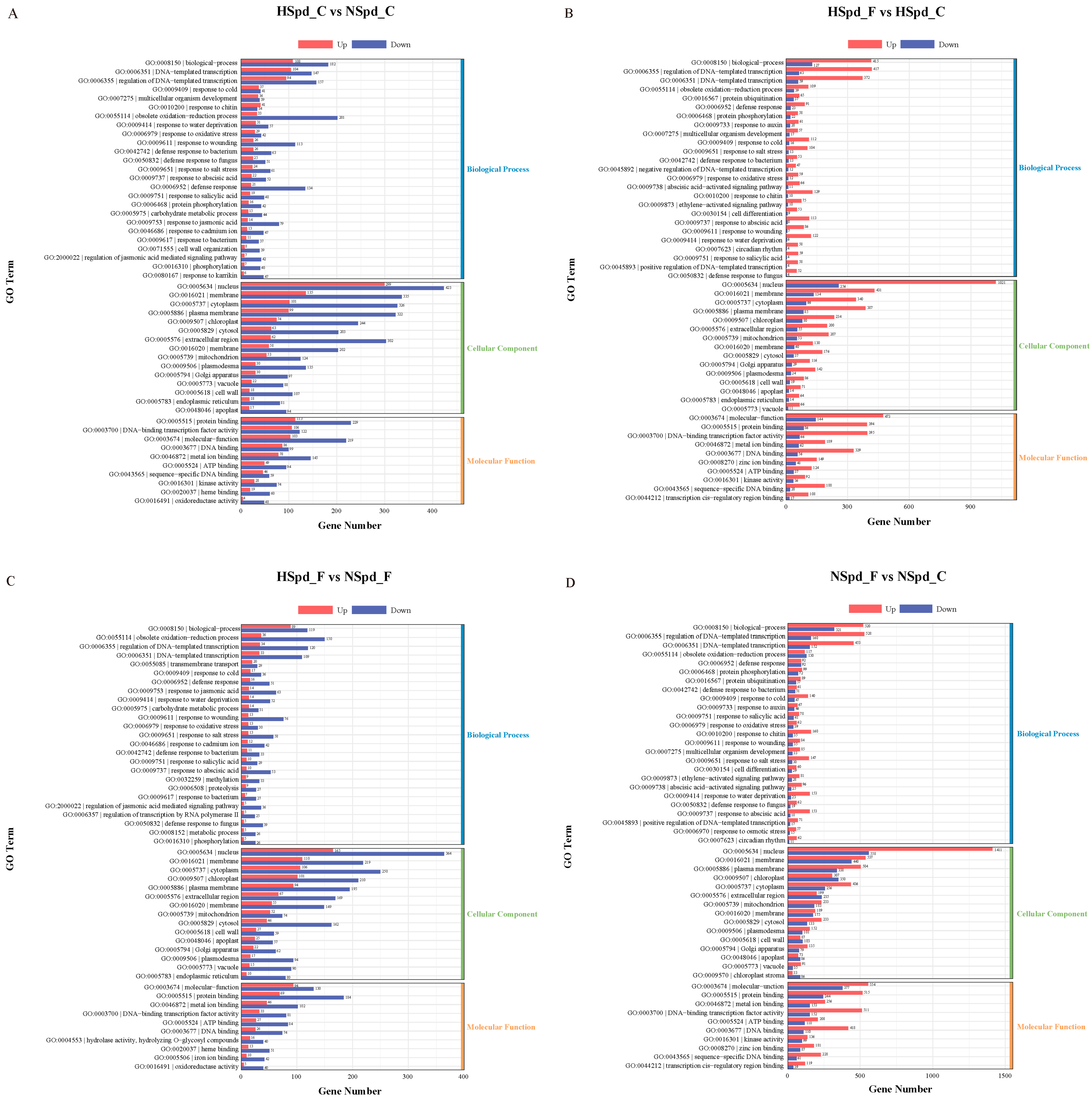 Antioxidants 13 01032 g005