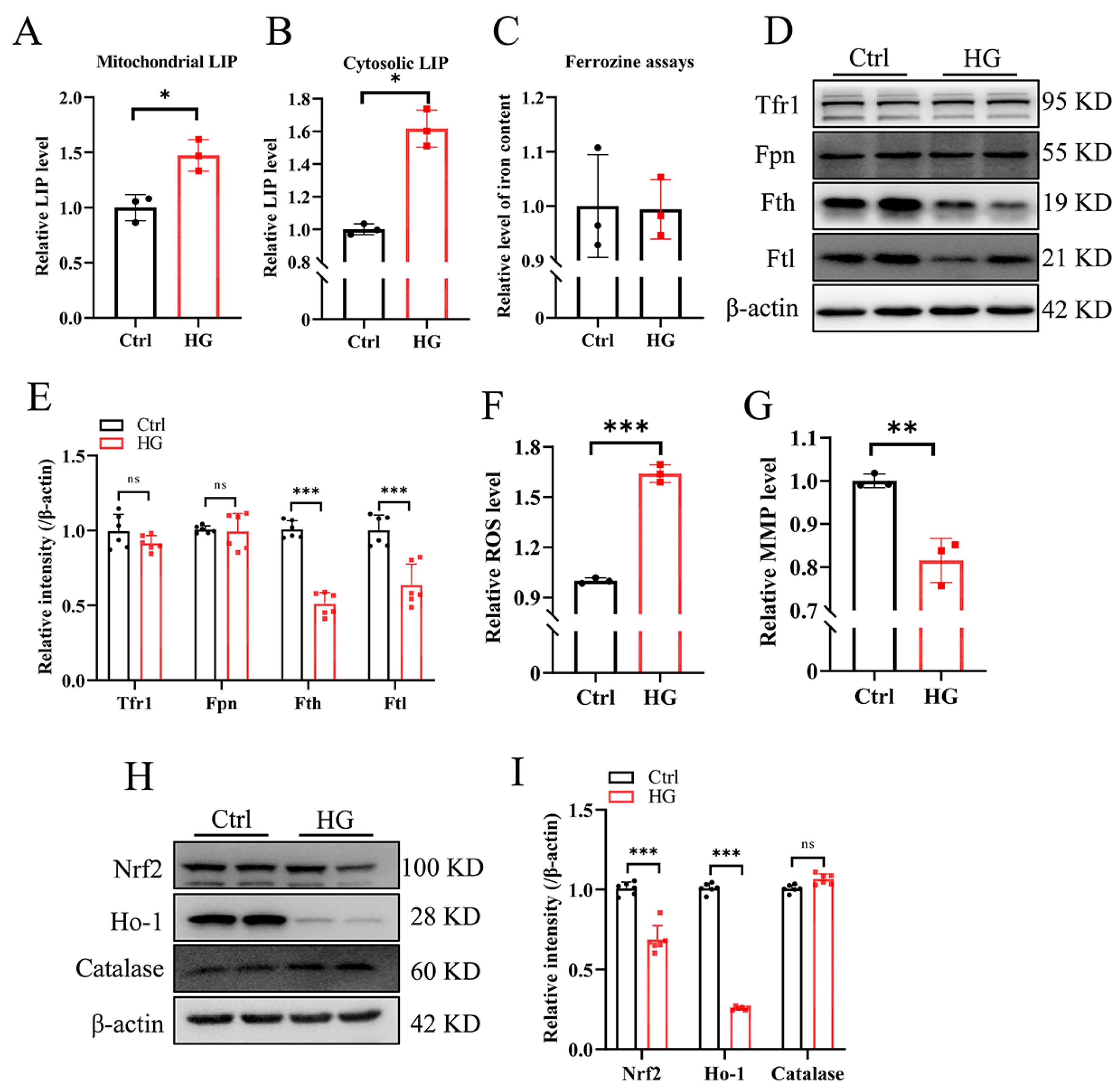 Antioxidants 13 01036 g002