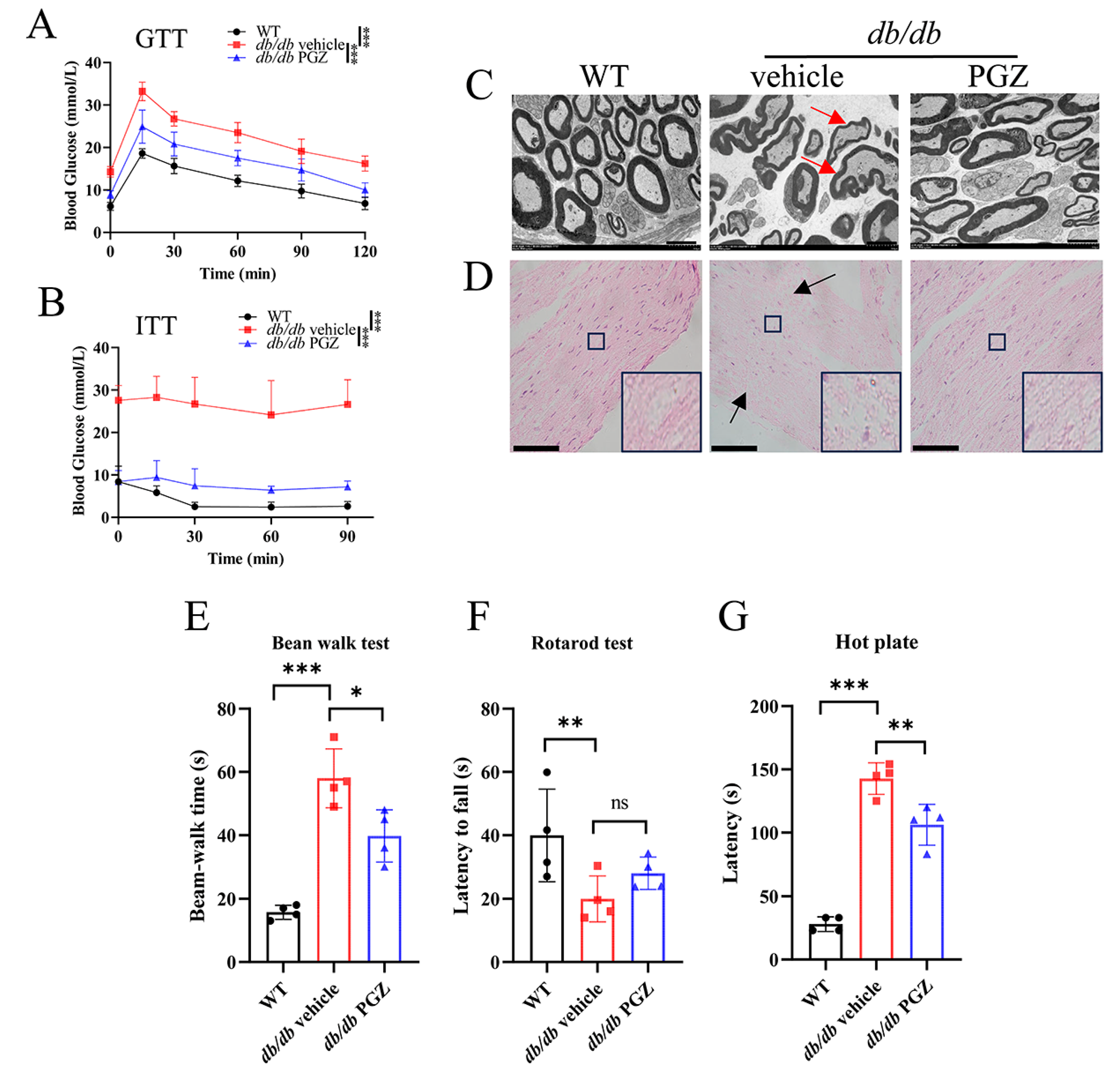 Antioxidants 13 01036 g007