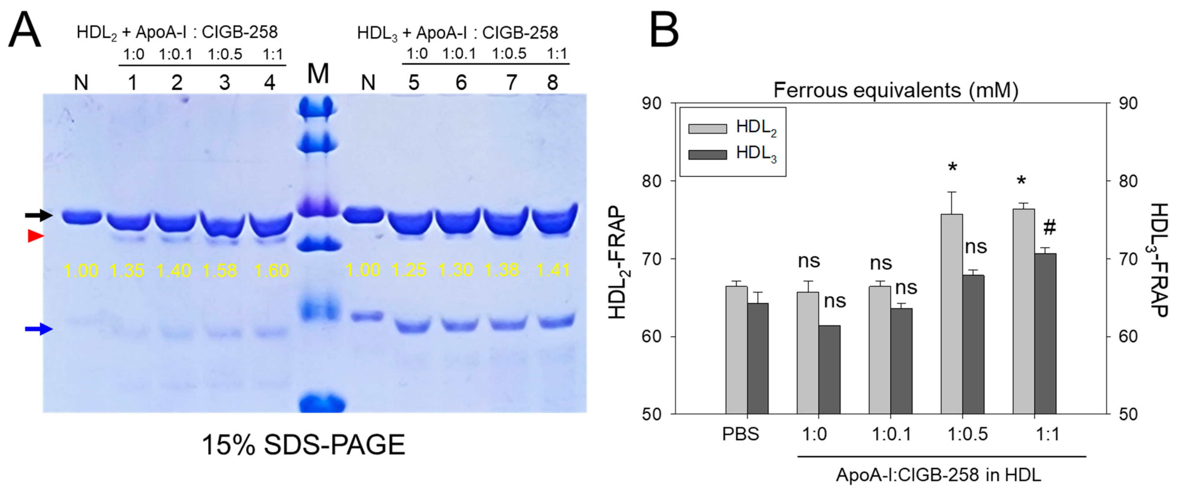 Antioxidants 13 01049 g005 Antioxidants 13 01049 g005
