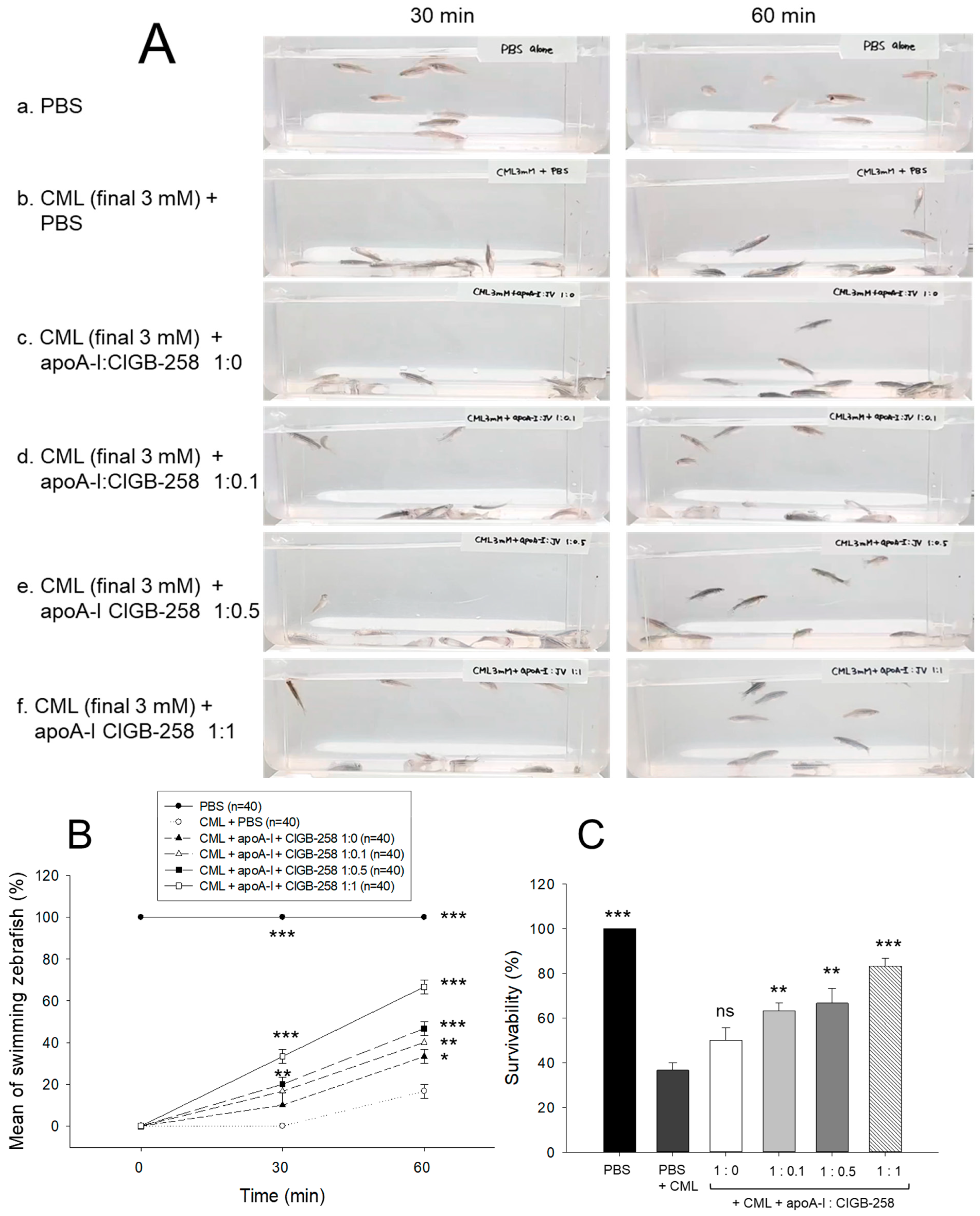 Antioxidants 13 01049 g008 Antioxidants 13 01049 g008