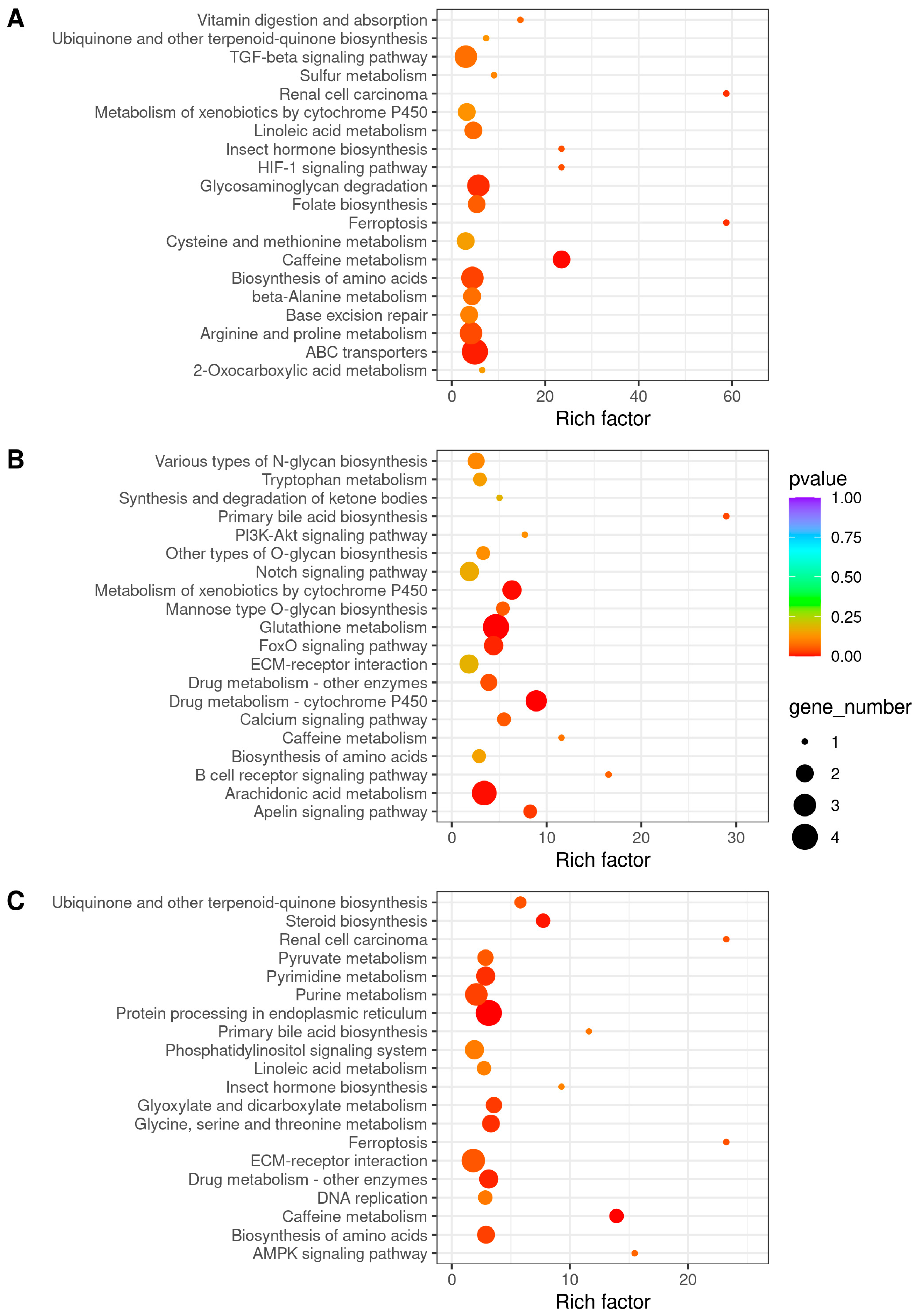 Antioxidants 13 01063 g005