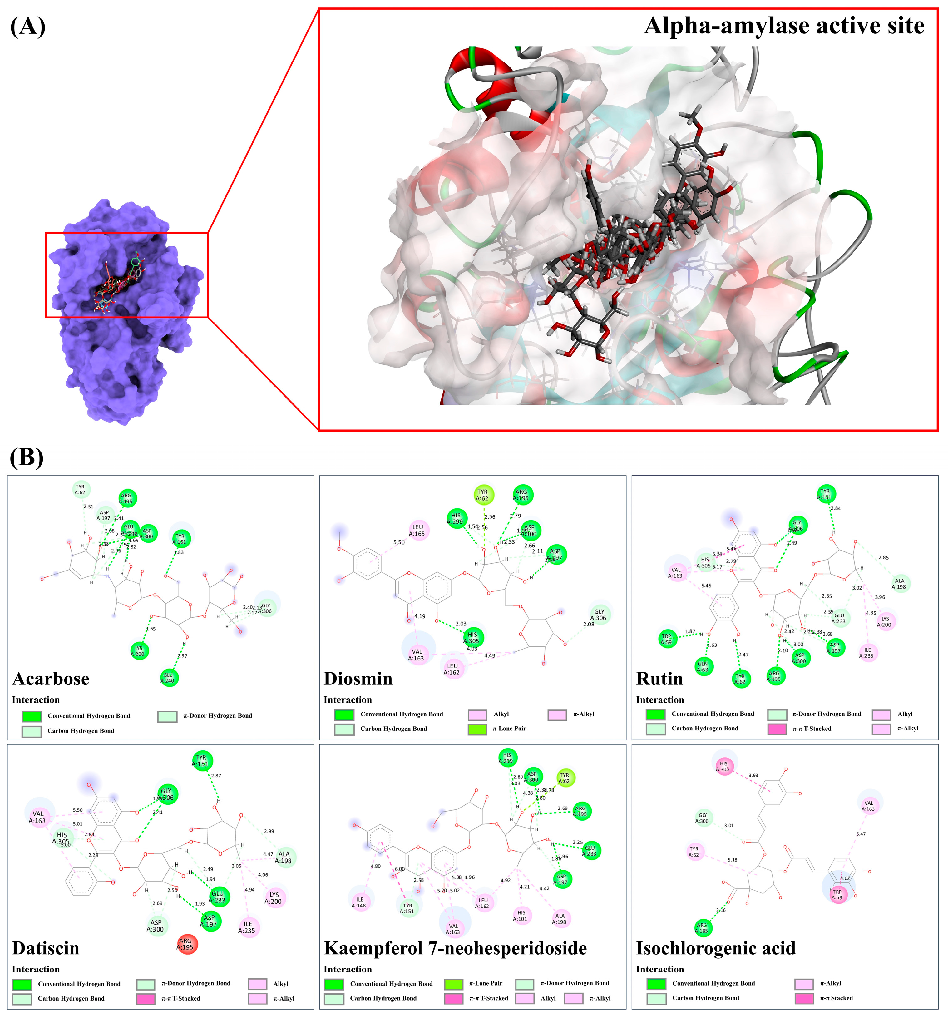 Antioxidants 13 01064 g009