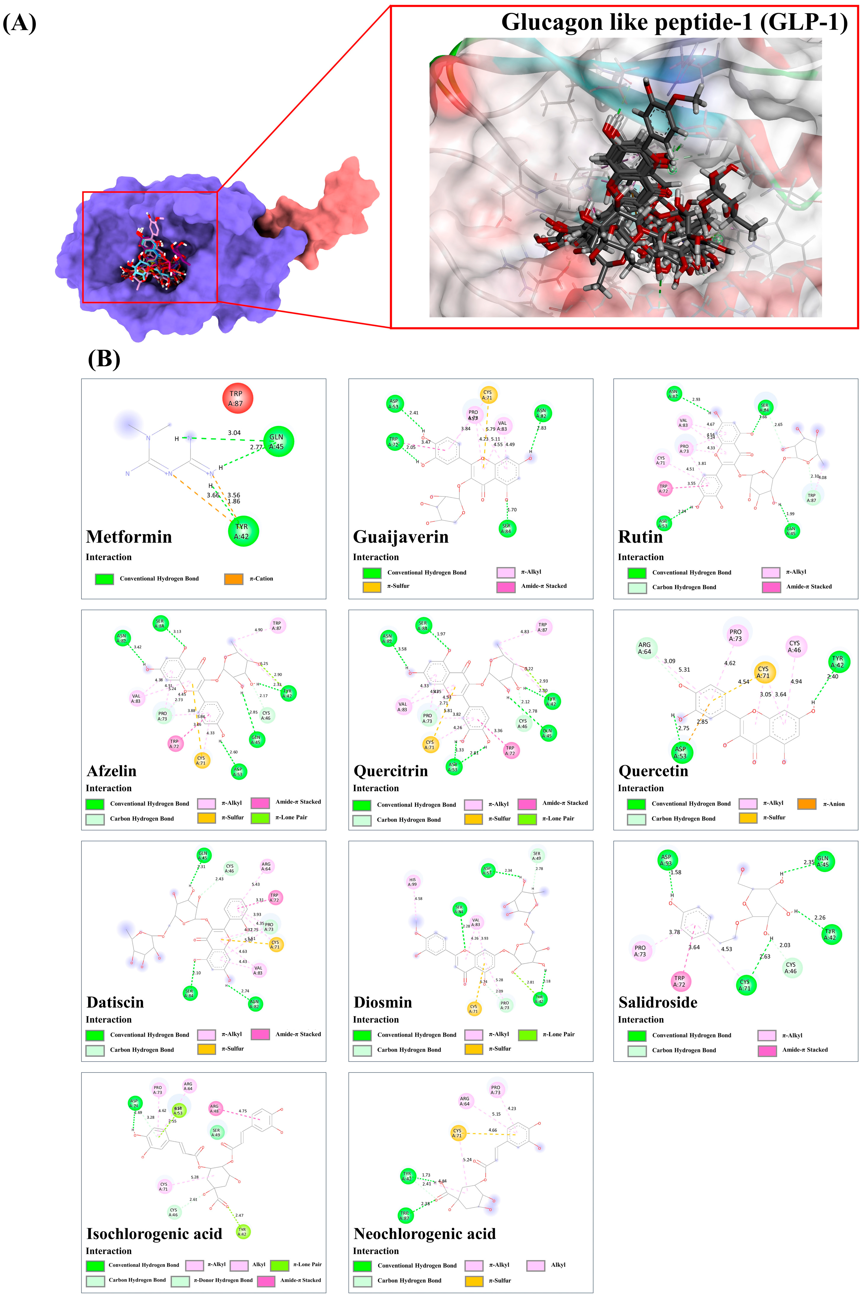 Antioxidants 13 01064 g012