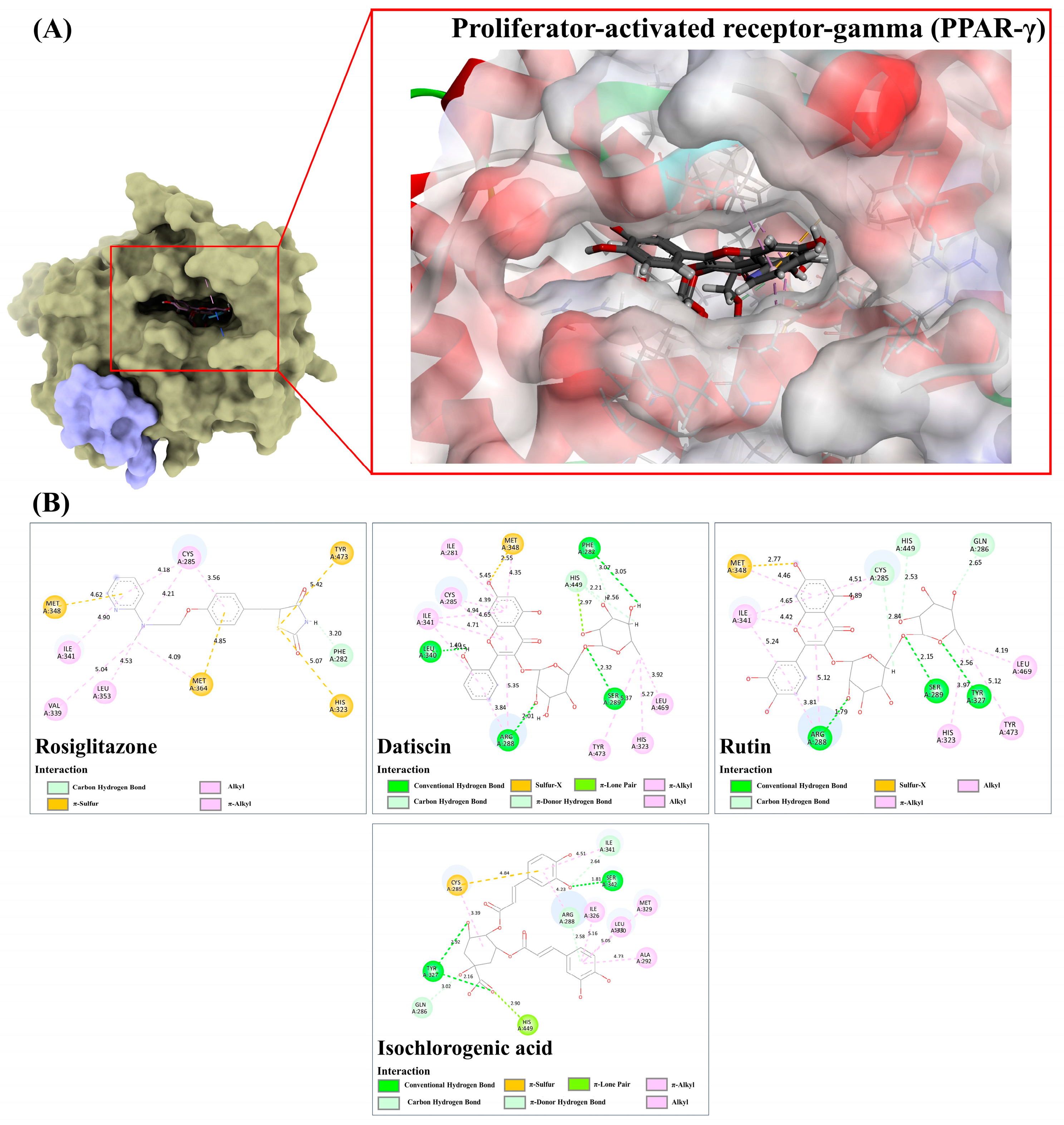 Antioxidants 13 01064 g014