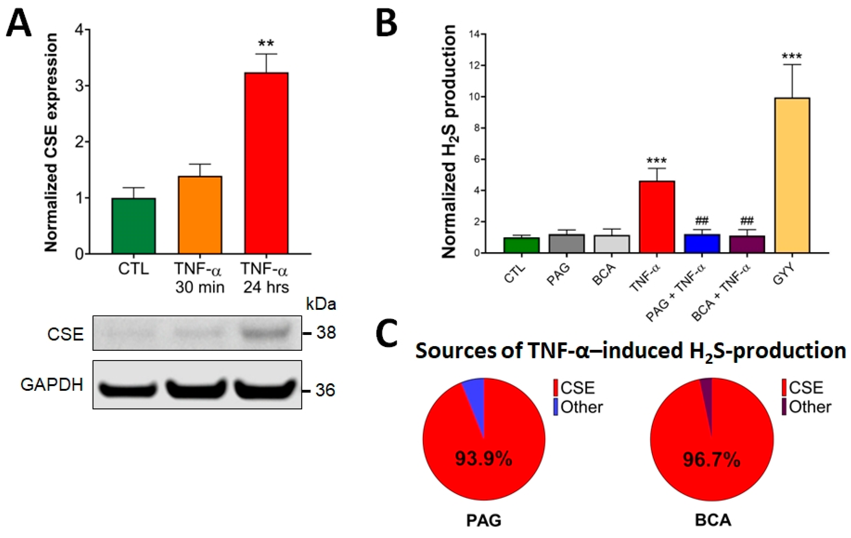 Antioxidants 13 01067 g001