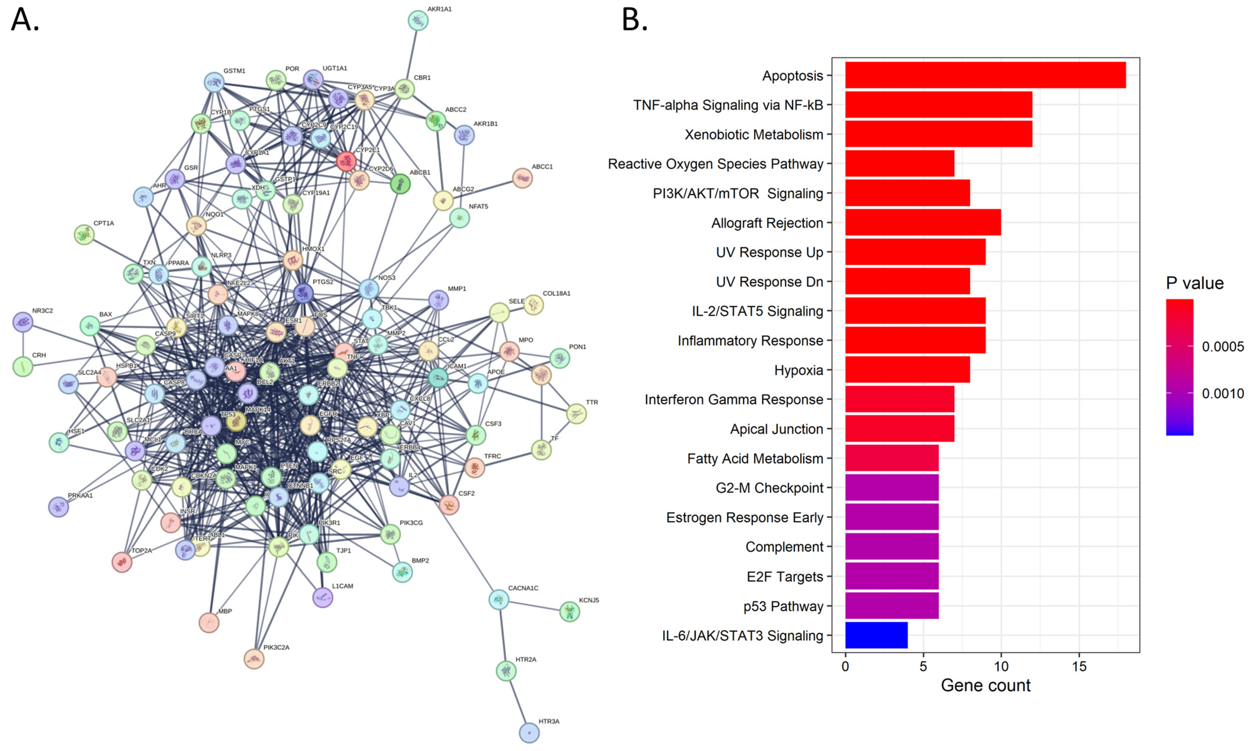 Antioxidants 13 01068 g003