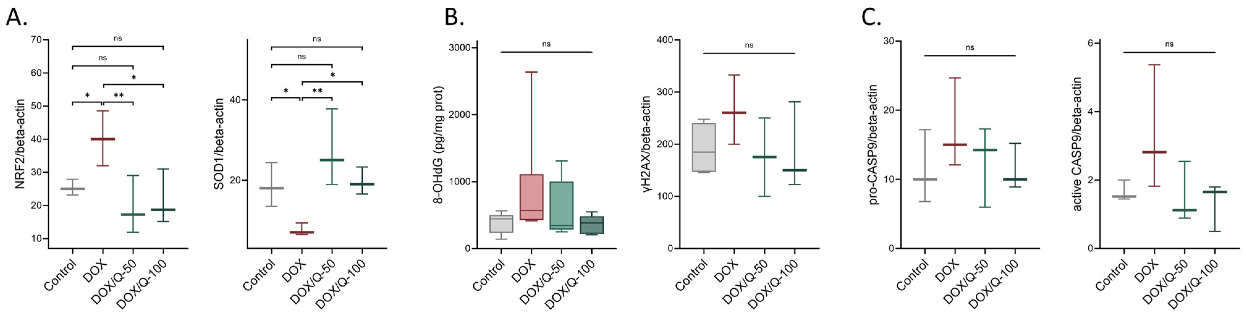 Antioxidants 13 01068 g004