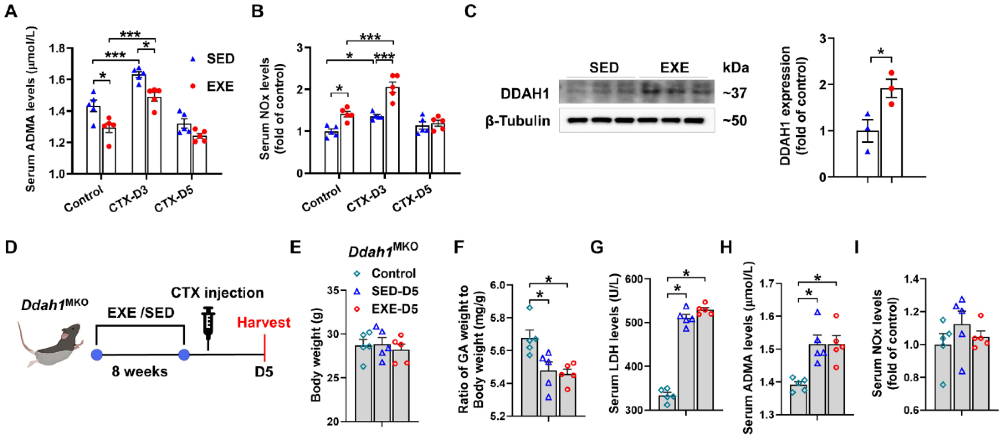 Antioxidants 13 01069 g004