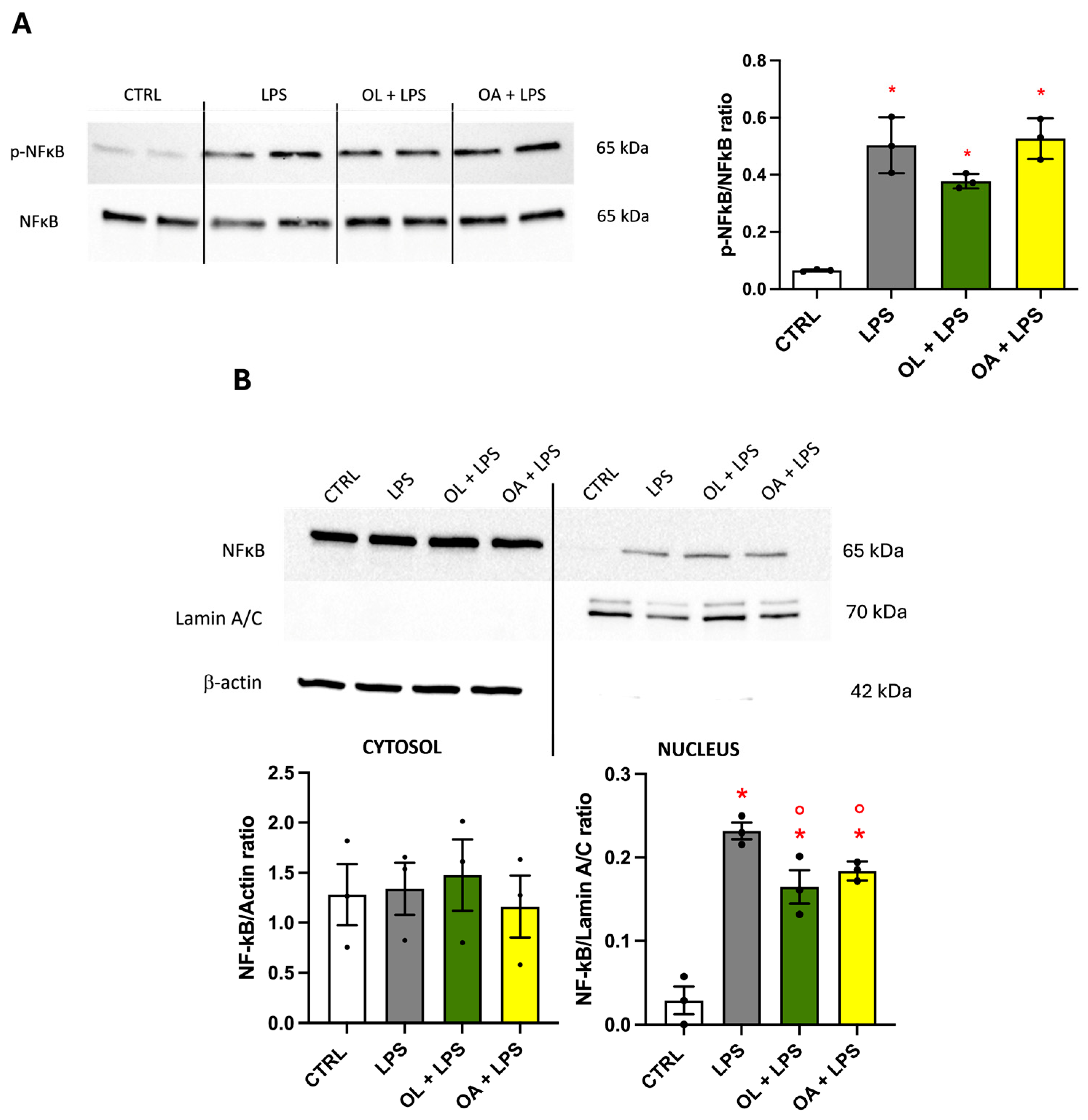 Antioxidants 13 01074 g008
