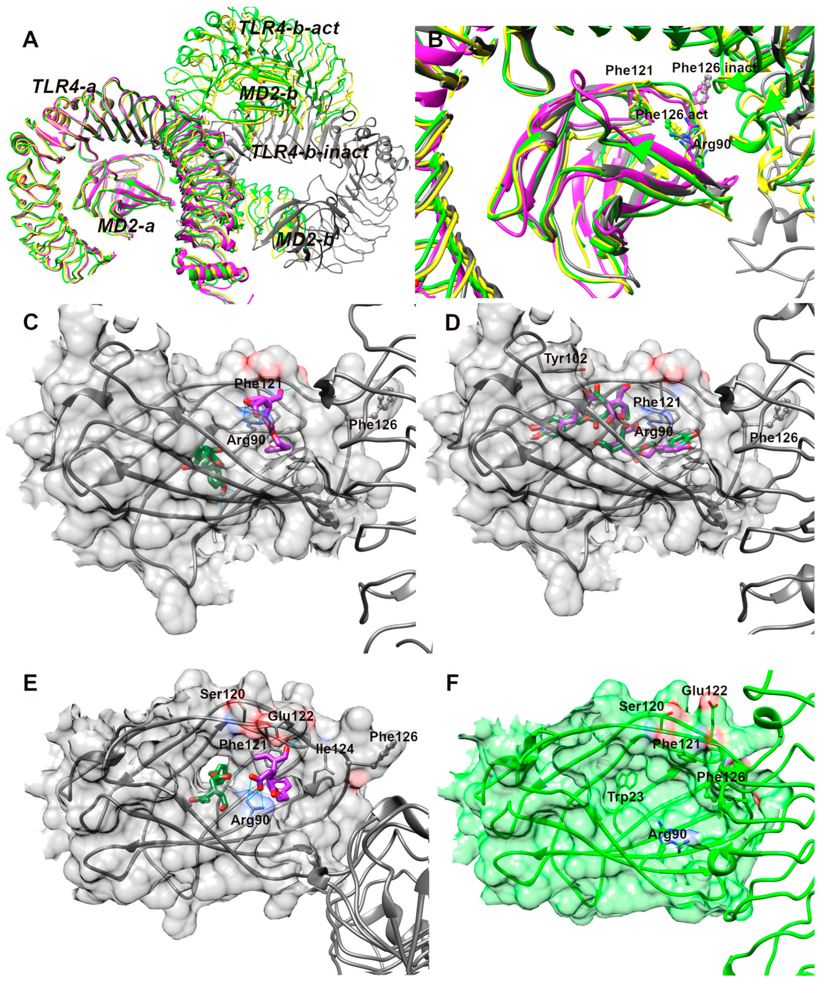 Antioxidants 13 01074 g014