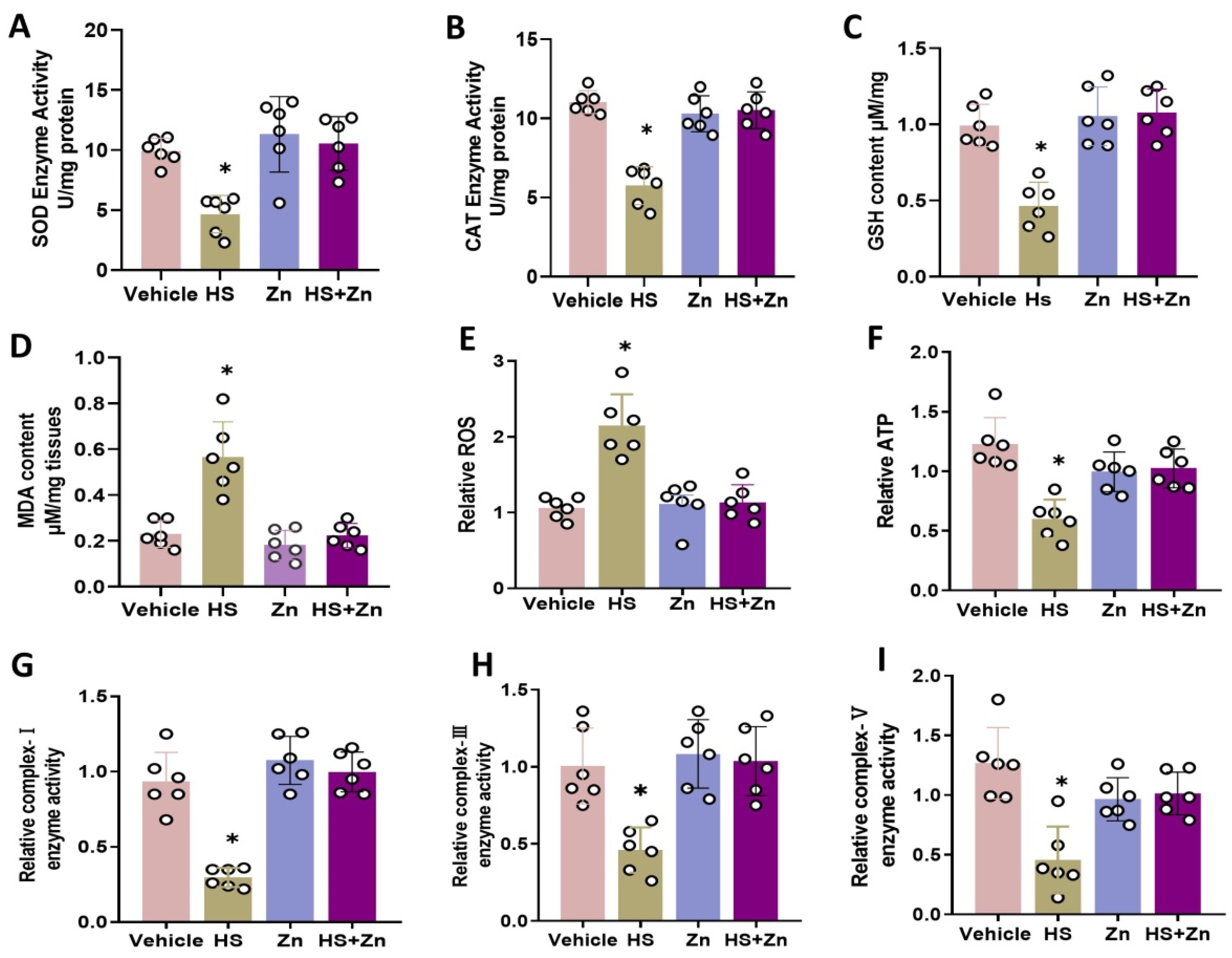 Antioxidants 13 01079 g003
