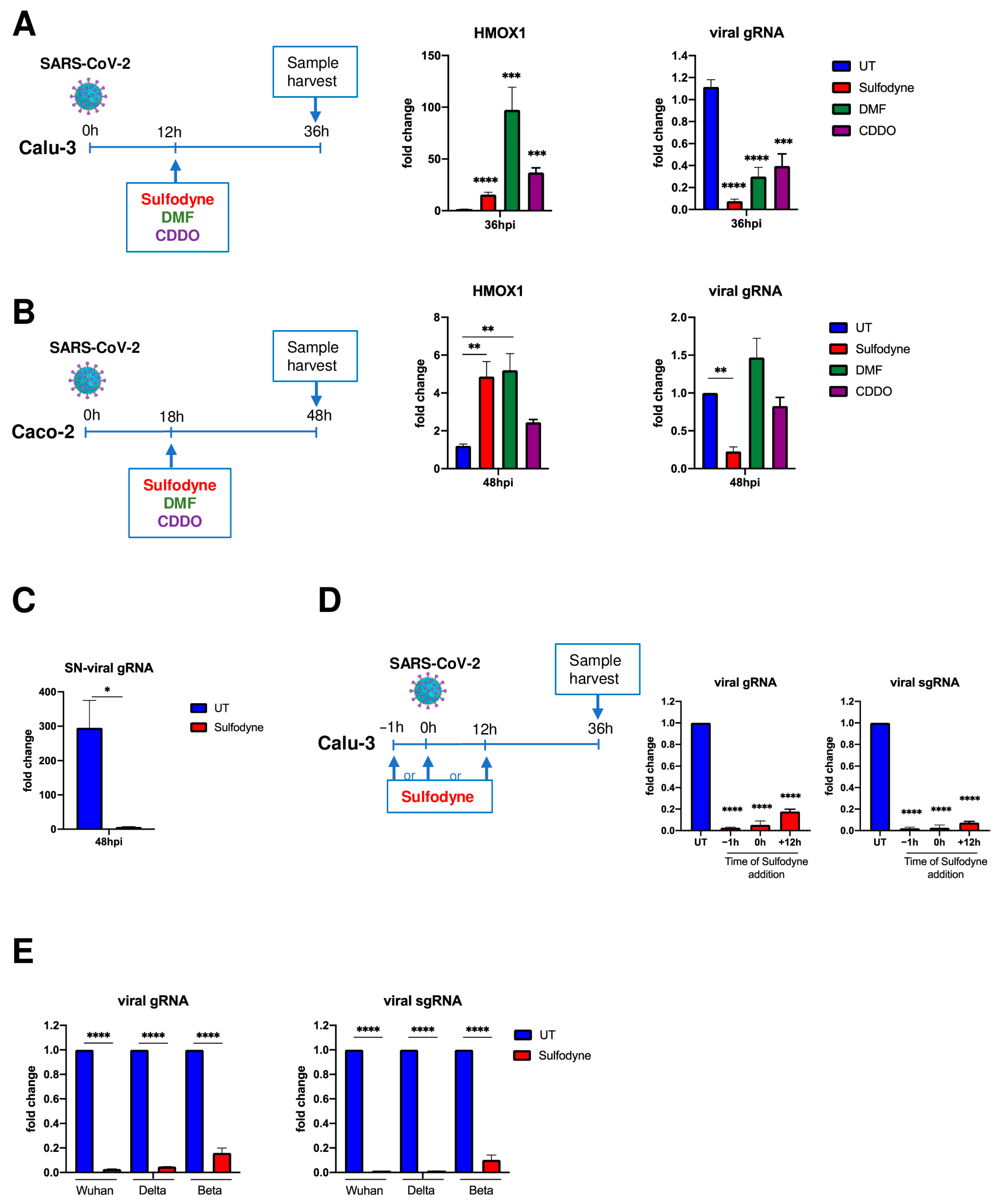 Antioxidants 13 01083 g001