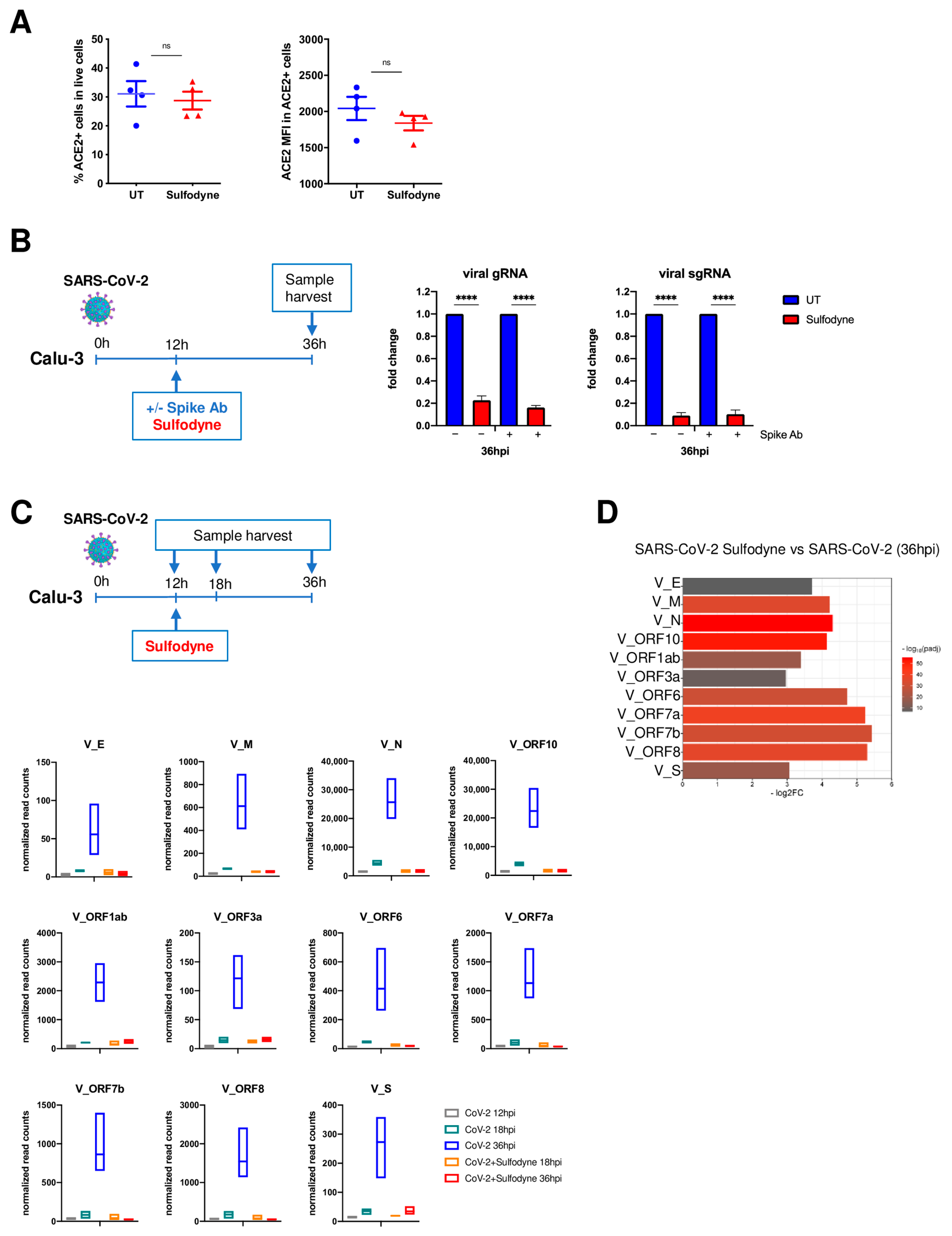 Antioxidants 13 01083 g002