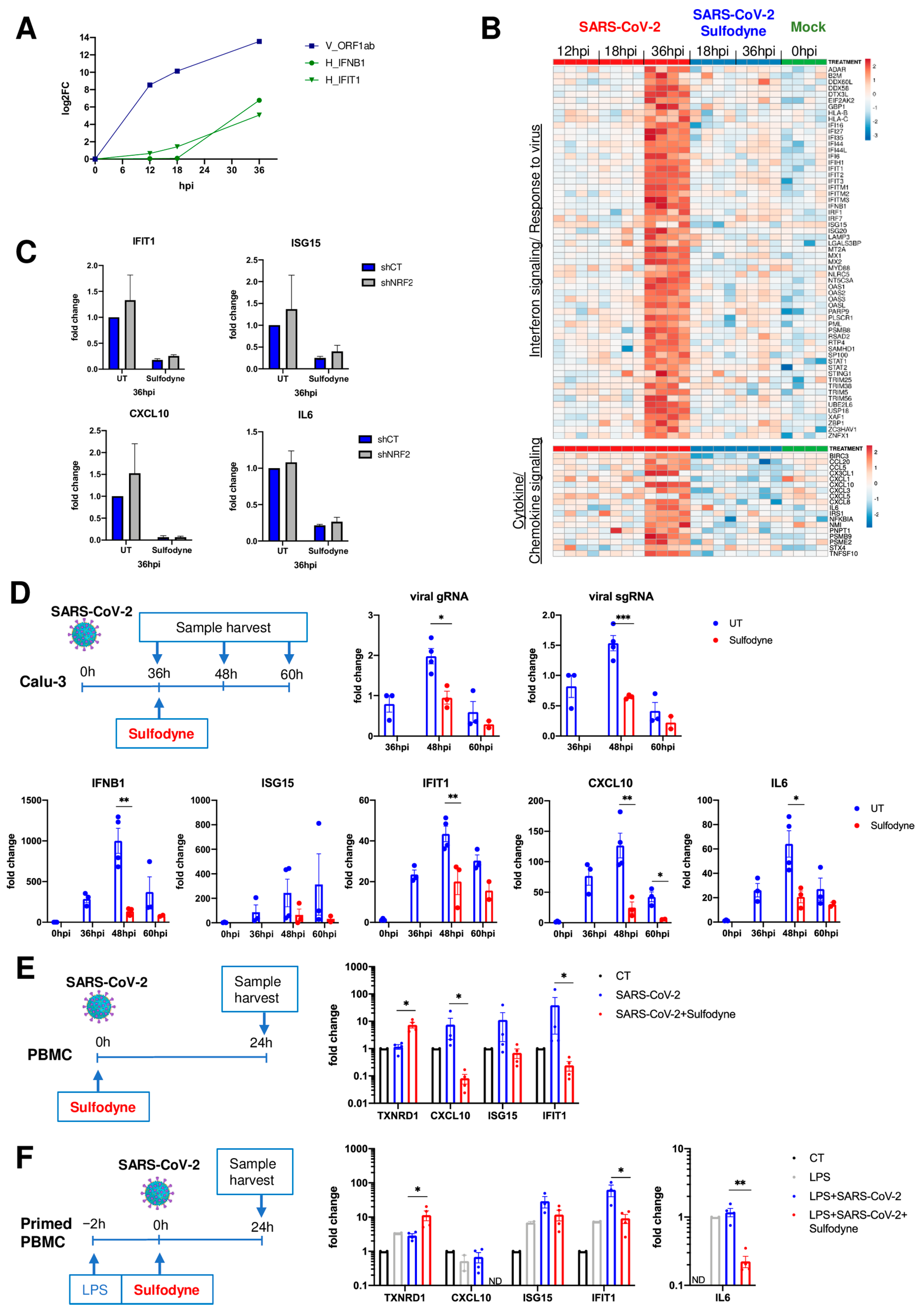Antioxidants 13 01083 g004