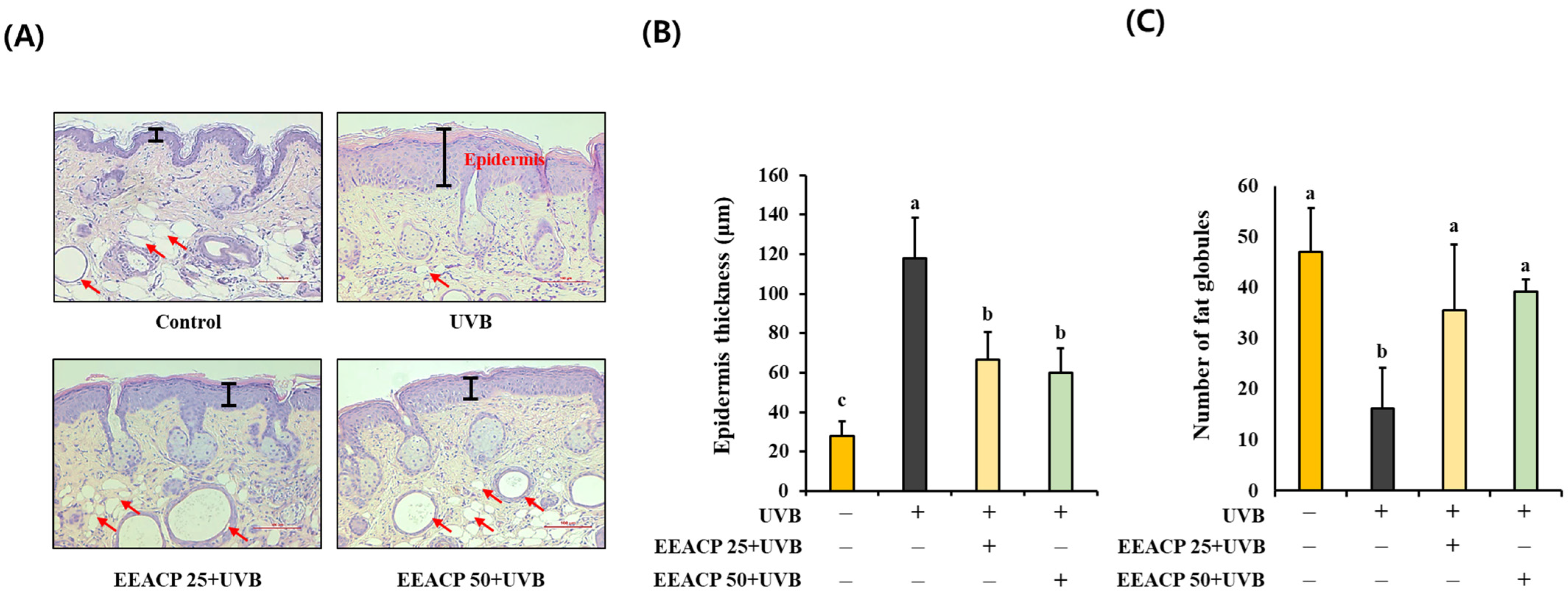 Antioxidants 13 01091 g002