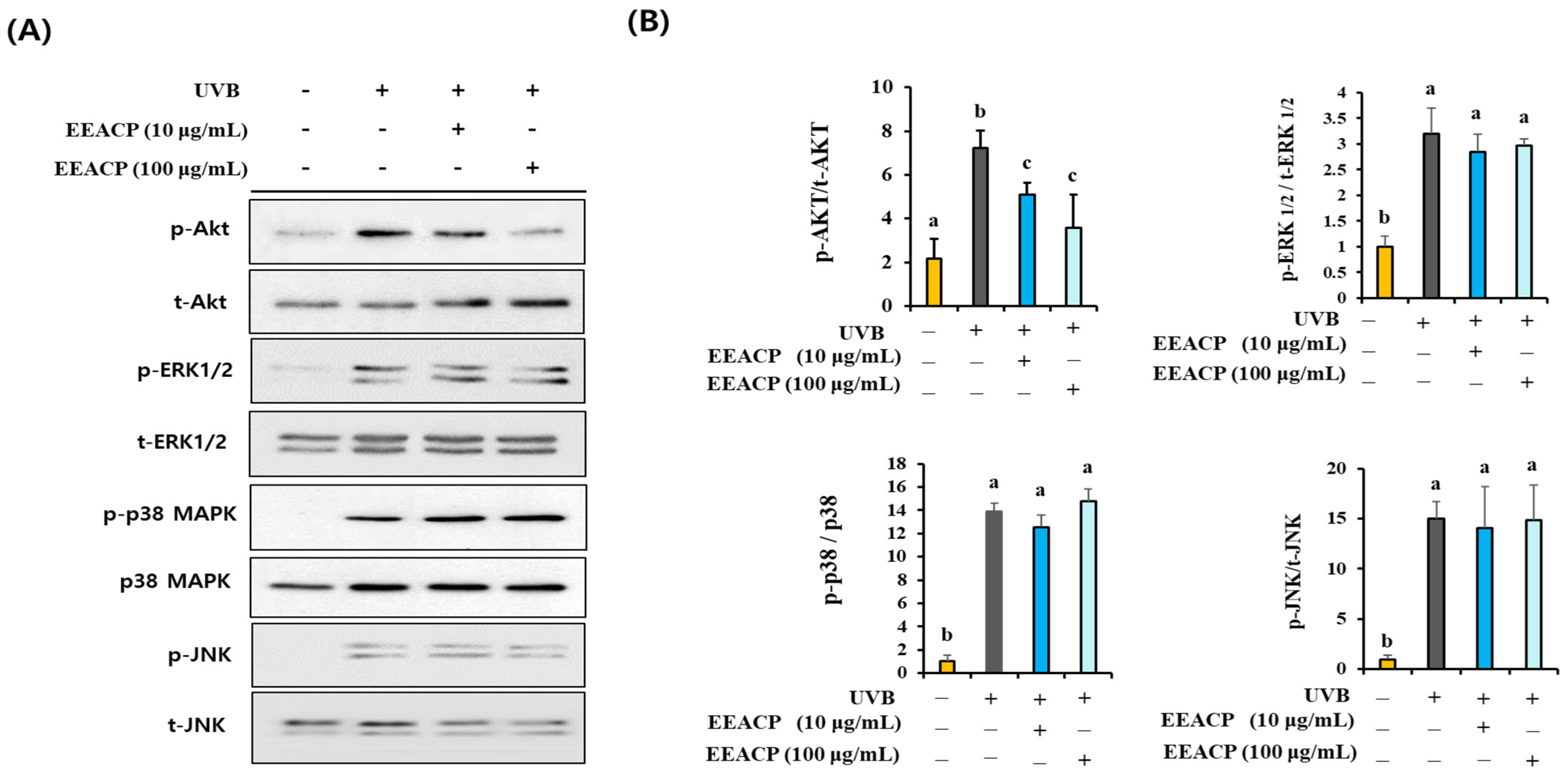 Antioxidants 13 01091 g006