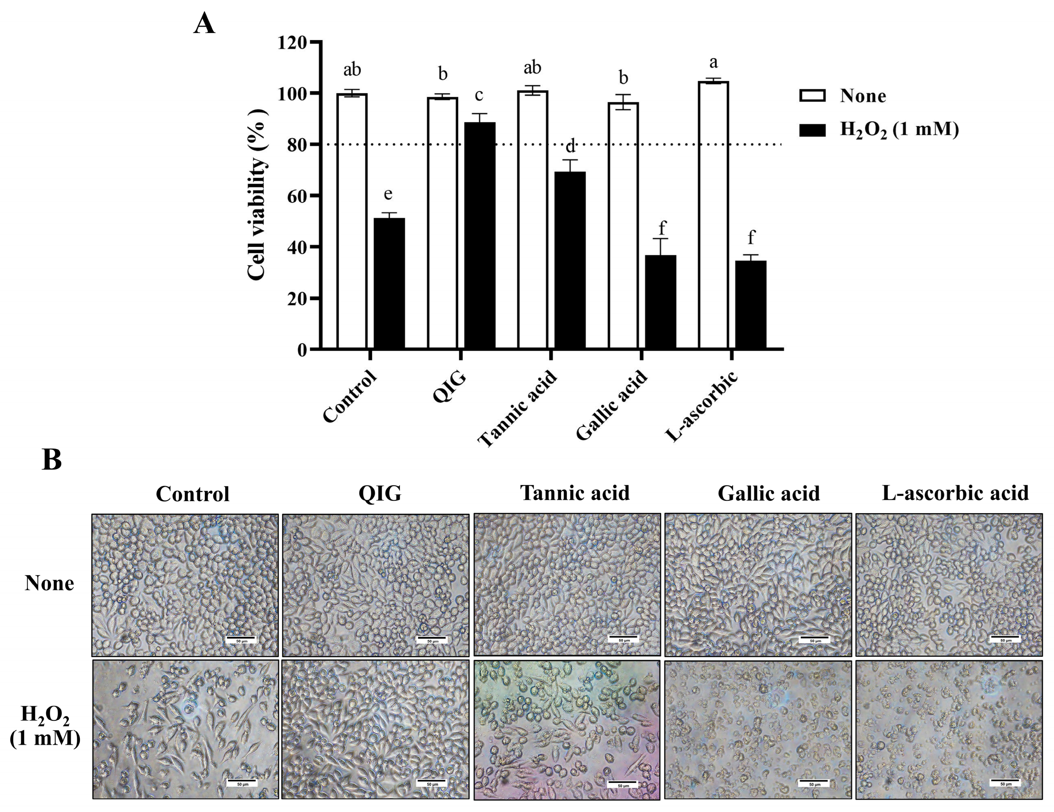 Antioxidants 13 01094 g005