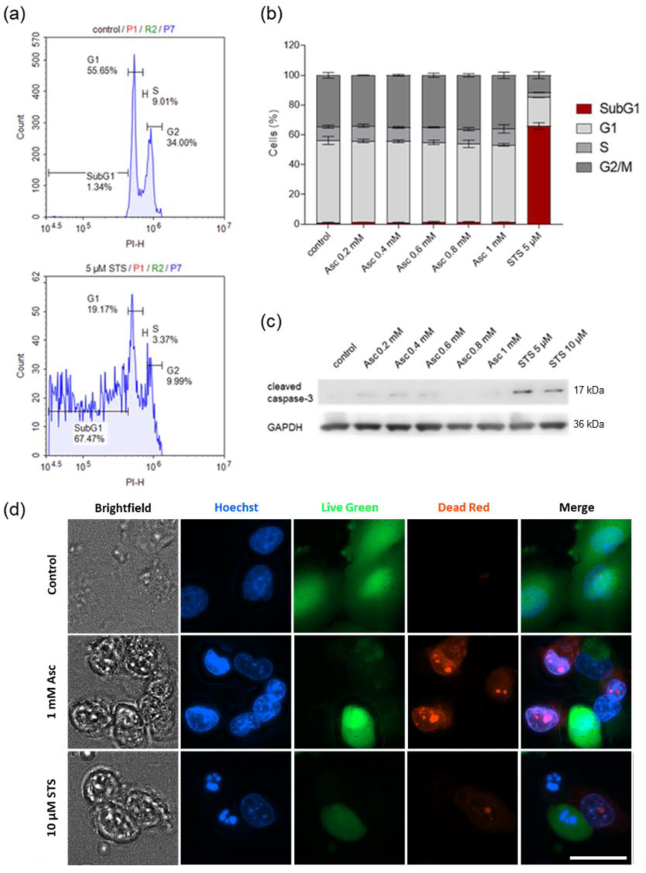 Antioxidants 13 01095 g004