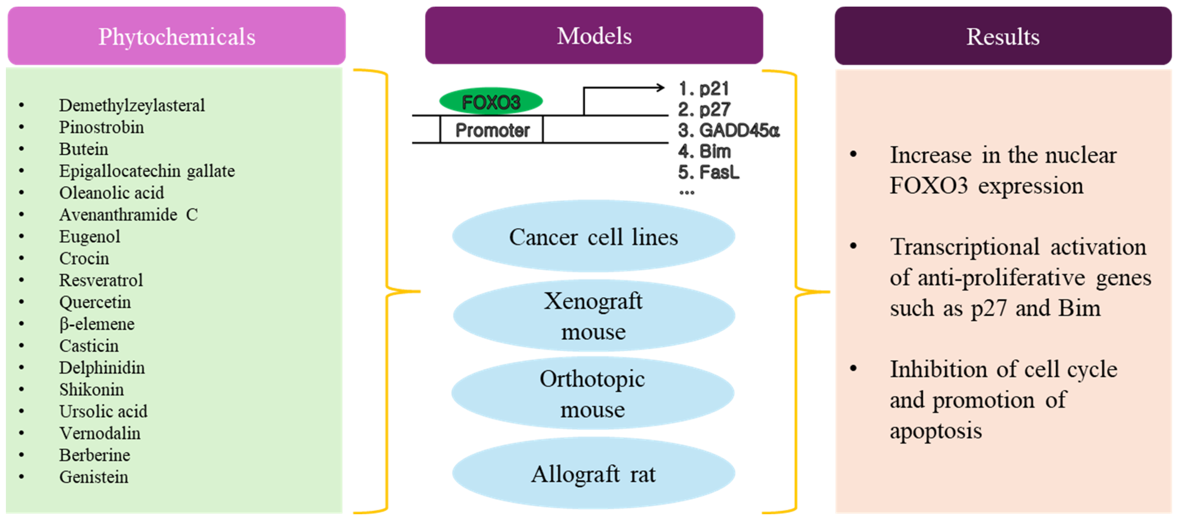 Antioxidants 13 01099 g004