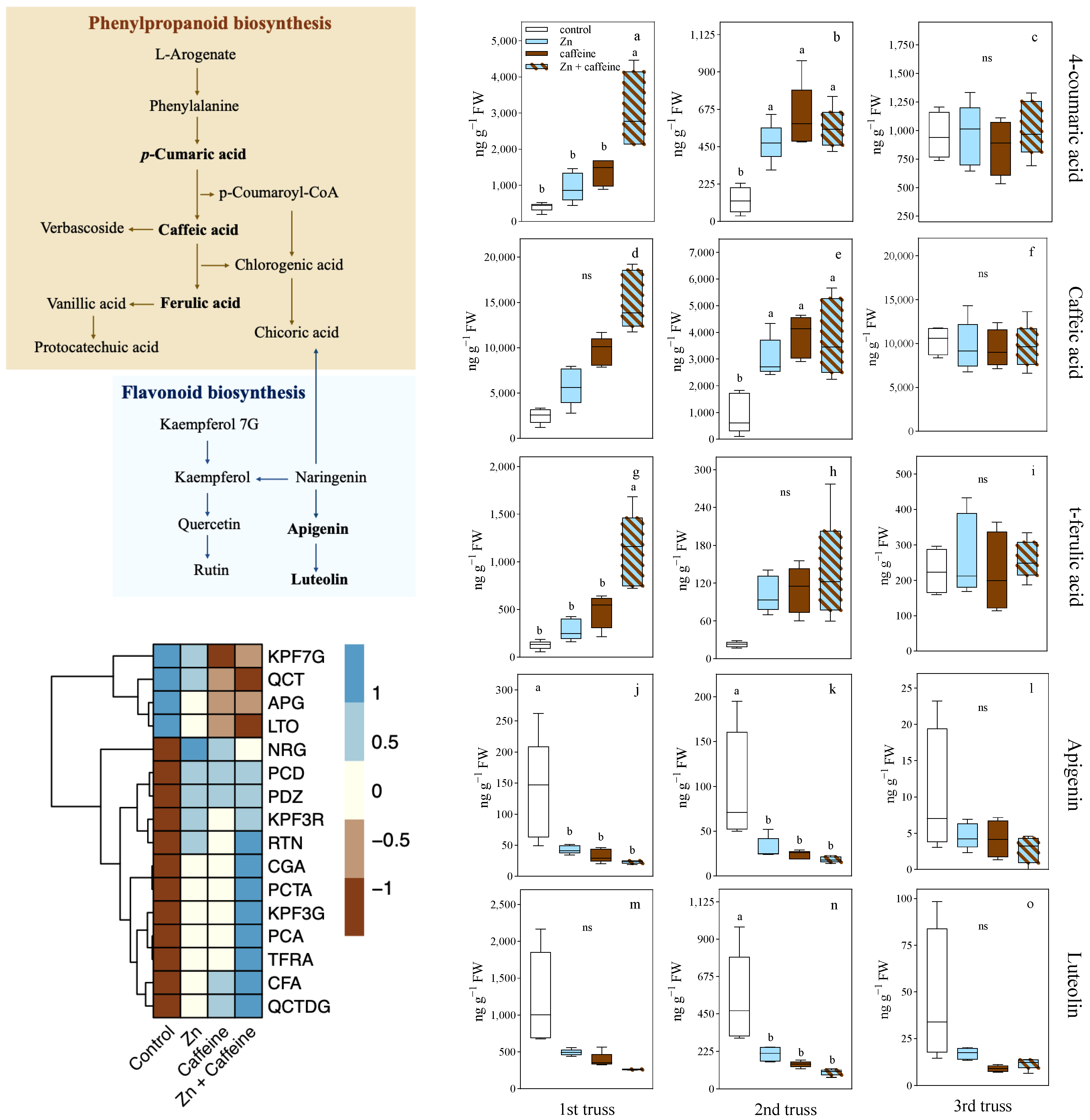 Antioxidants 13 01100 g007