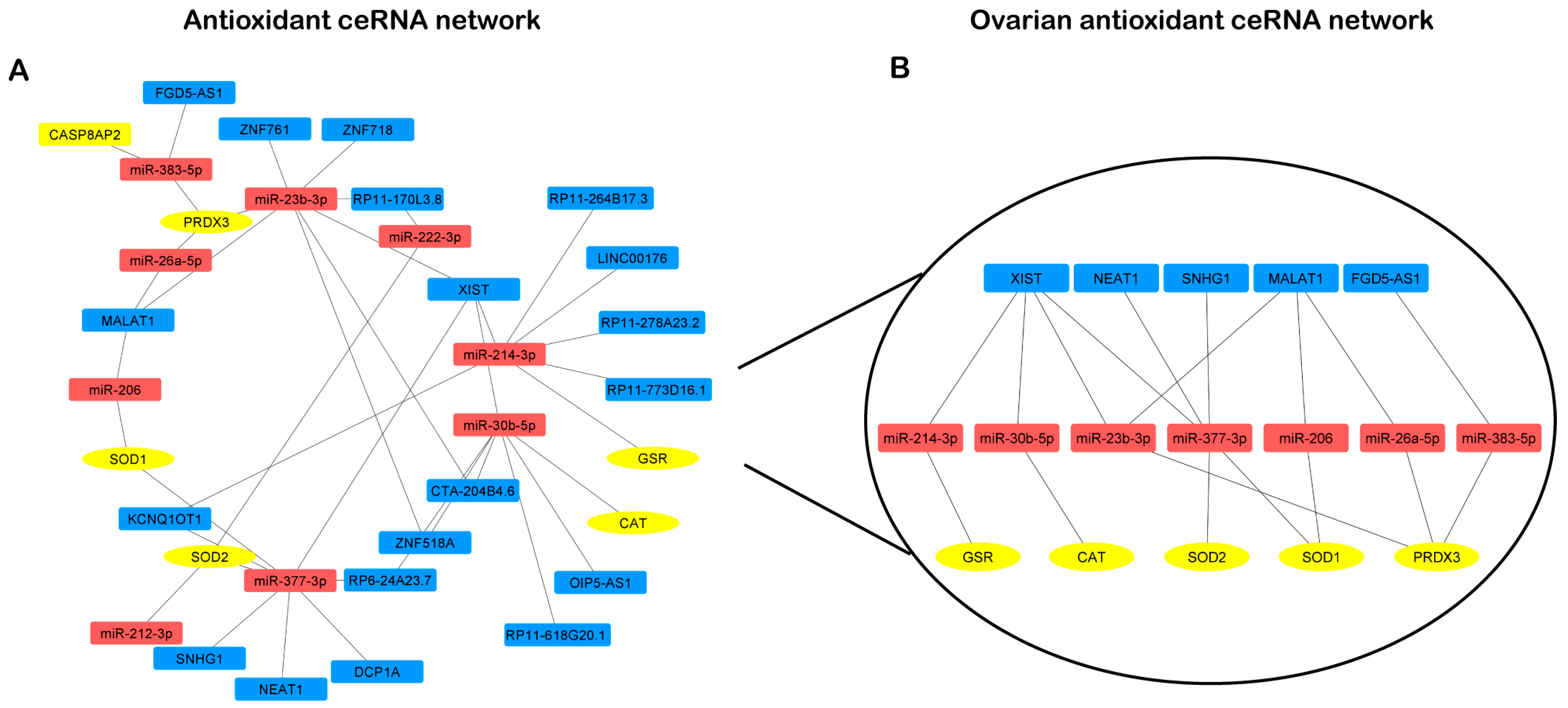 Antioxidants 13 01101 g005