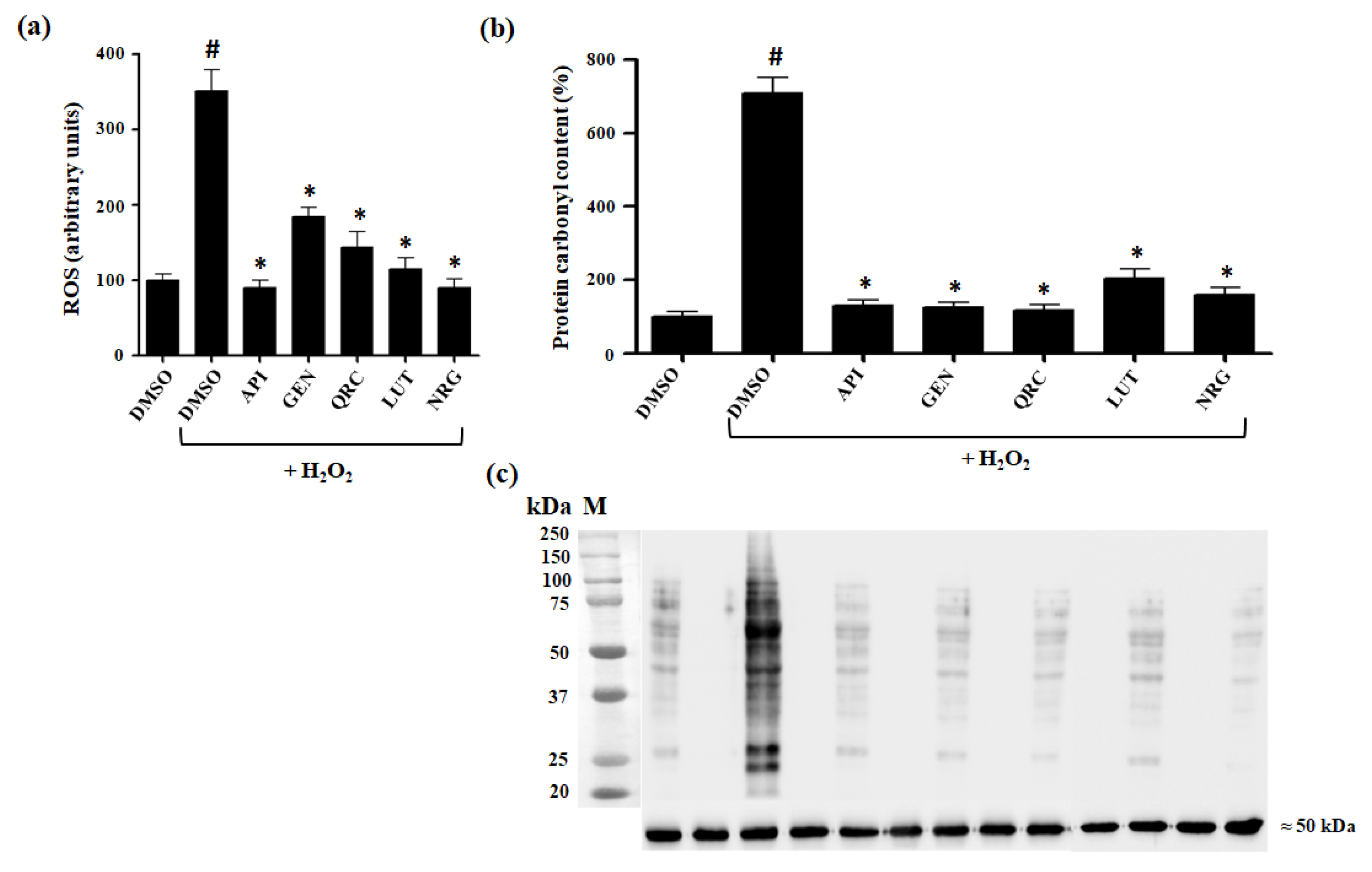 Antioxidants 13 01103 g004