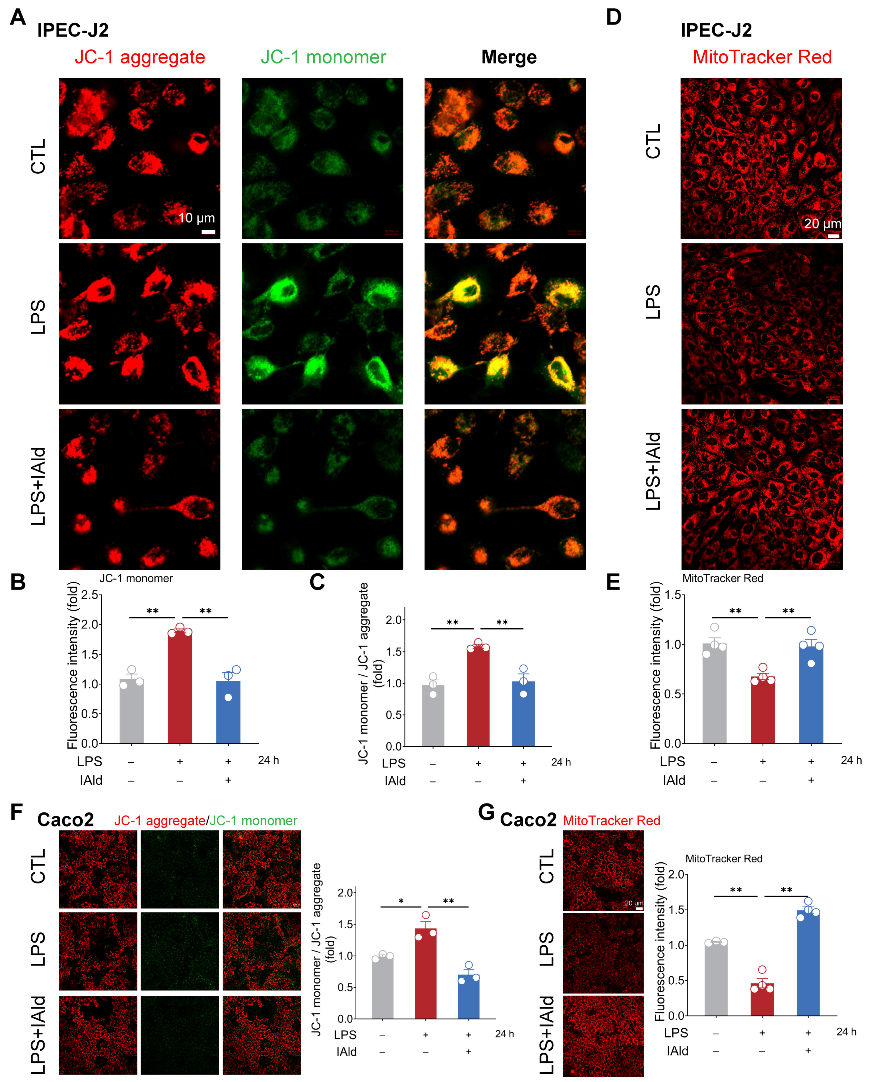 Antioxidants 13 01107 g003