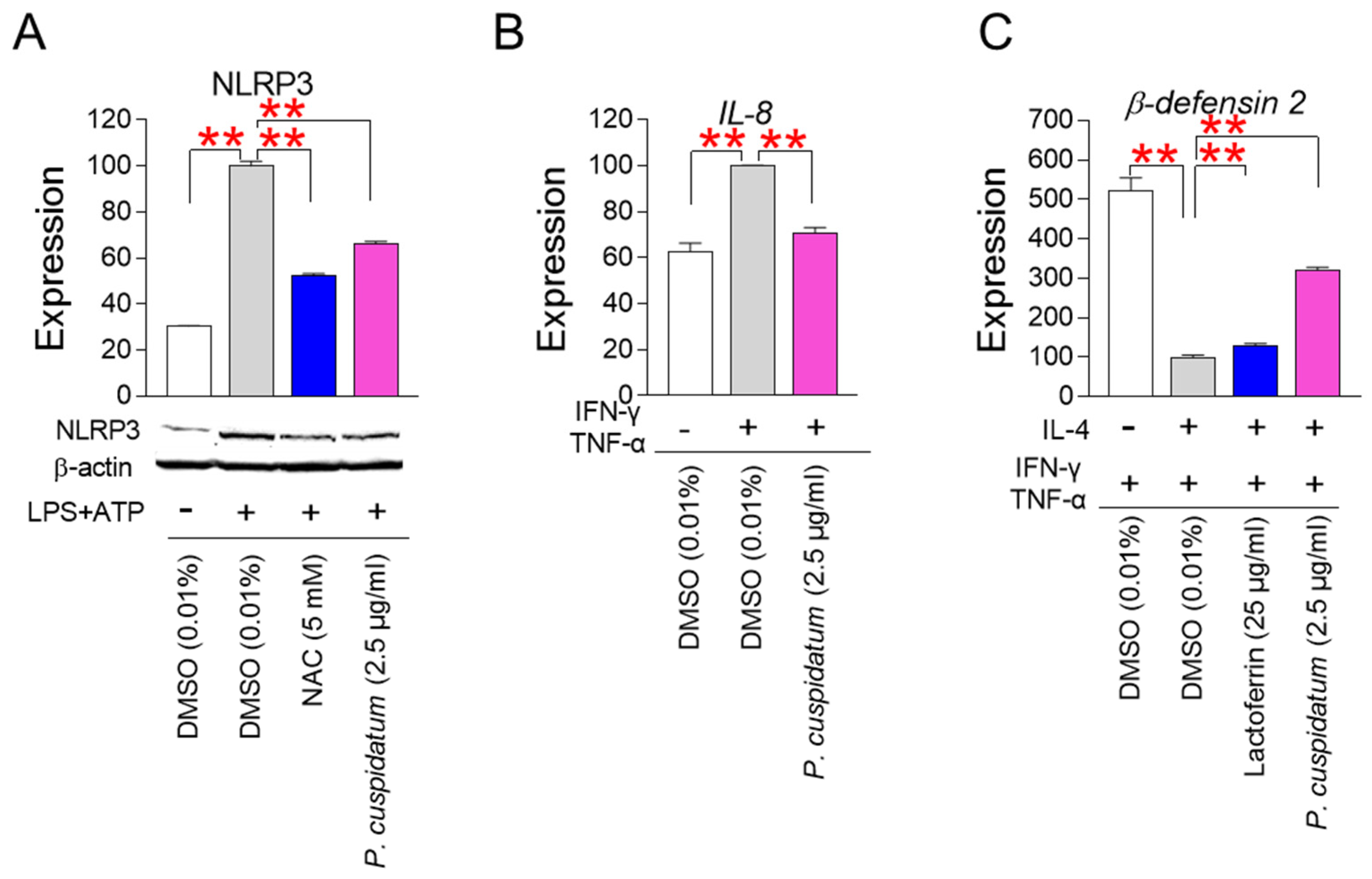Antioxidants 13 01110 g007