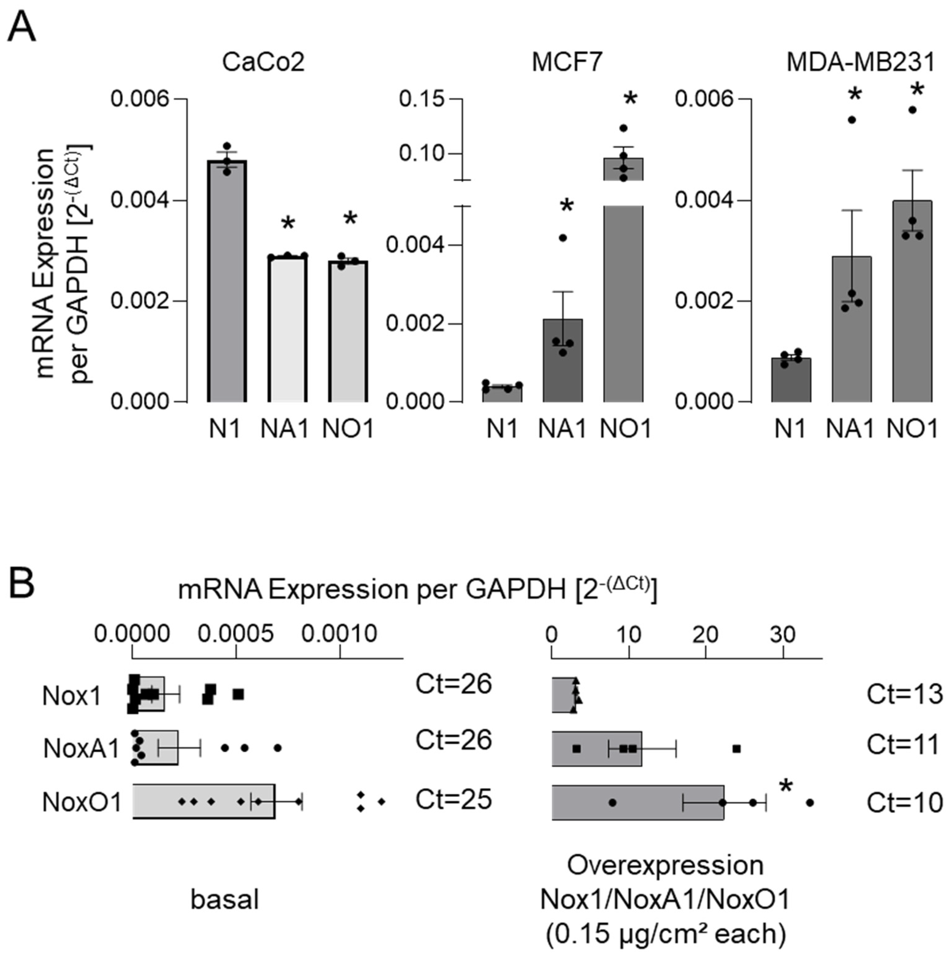 Antioxidants 13 01113 g002