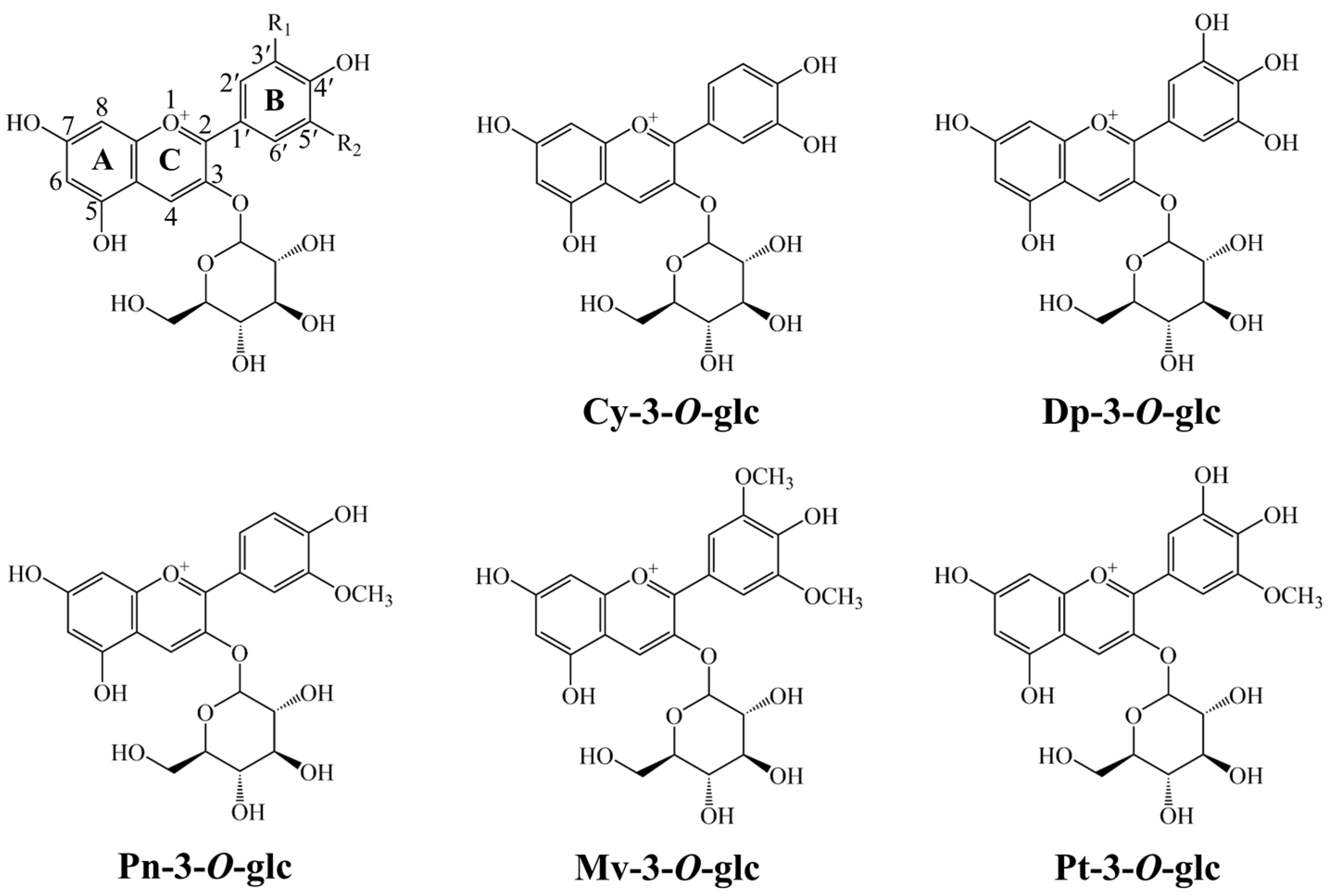 Antioxidants 13 01117 g001