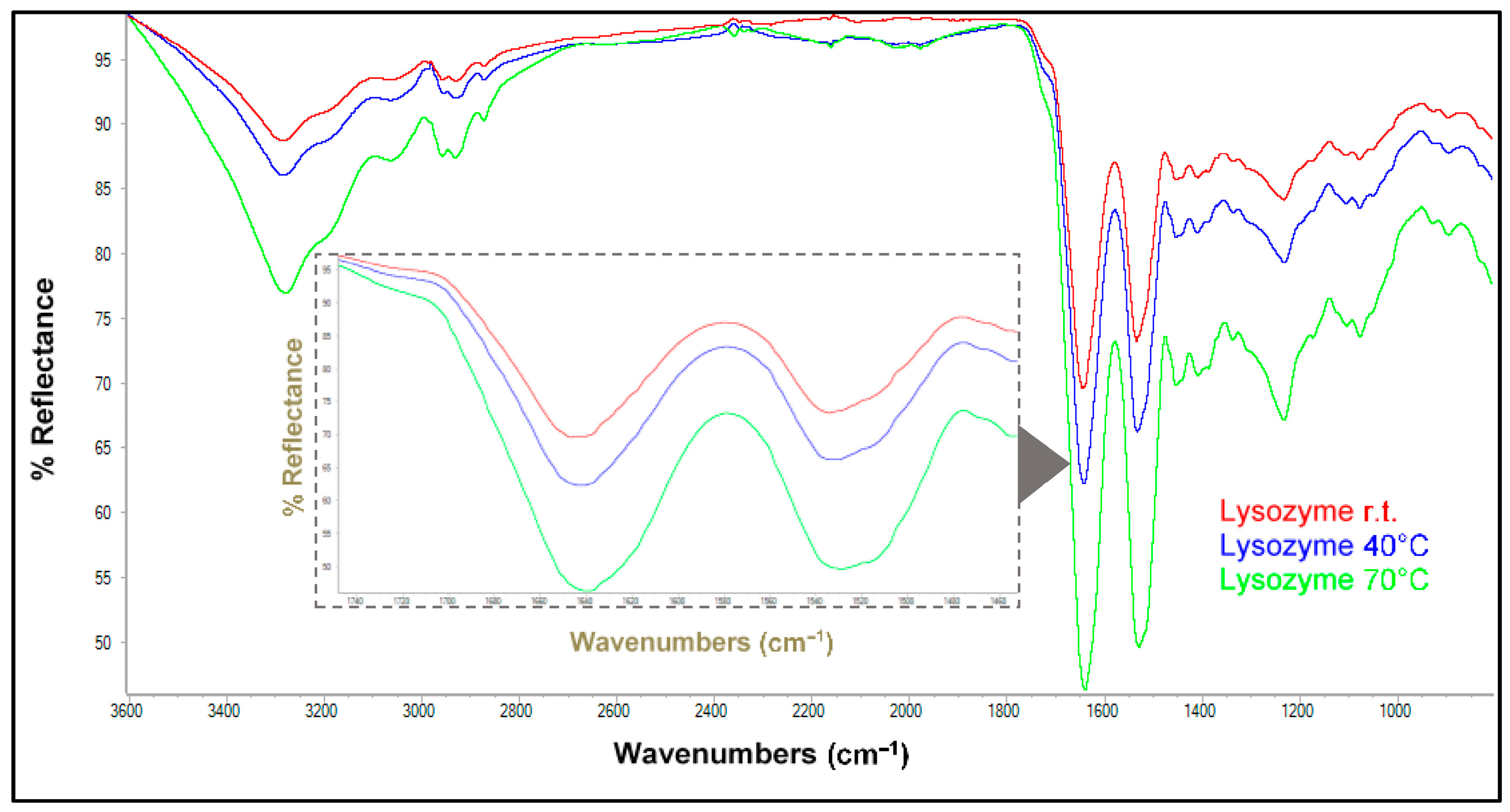 Antioxidants 13 01154 g003