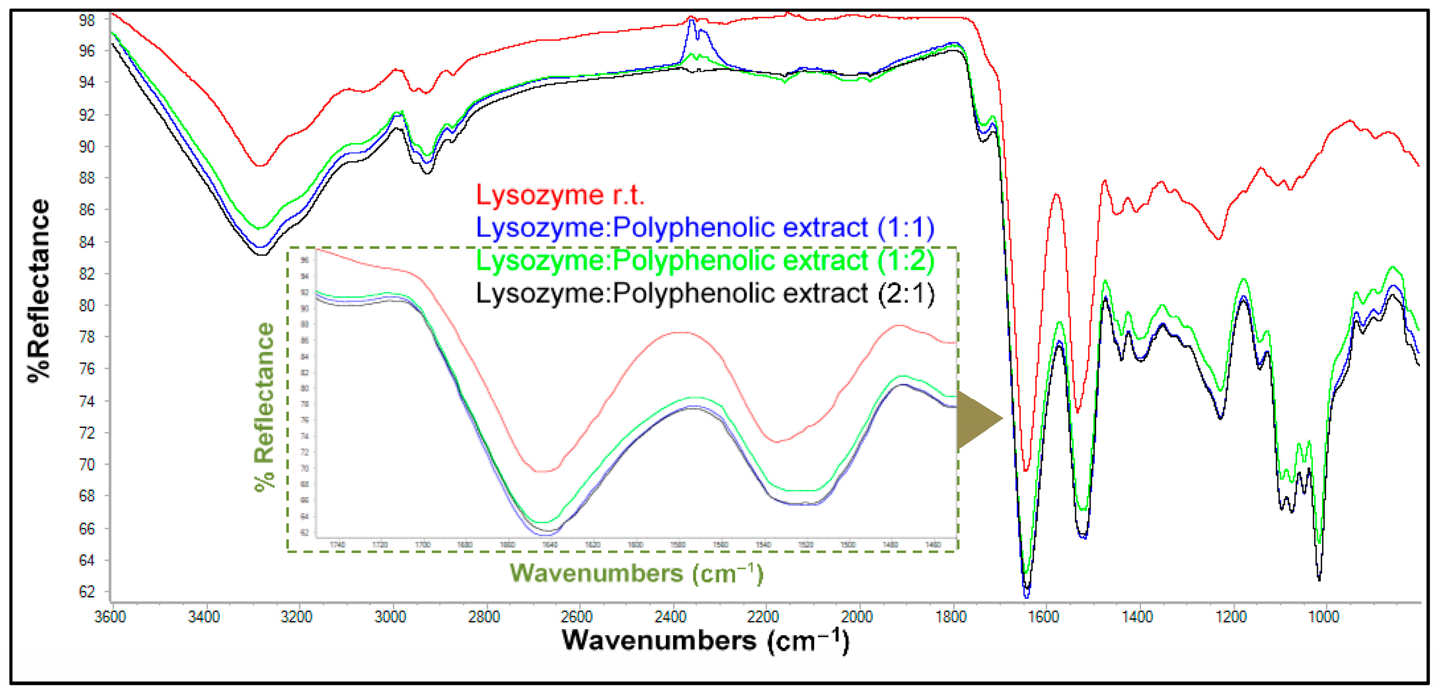 Antioxidants 13 01154 g007