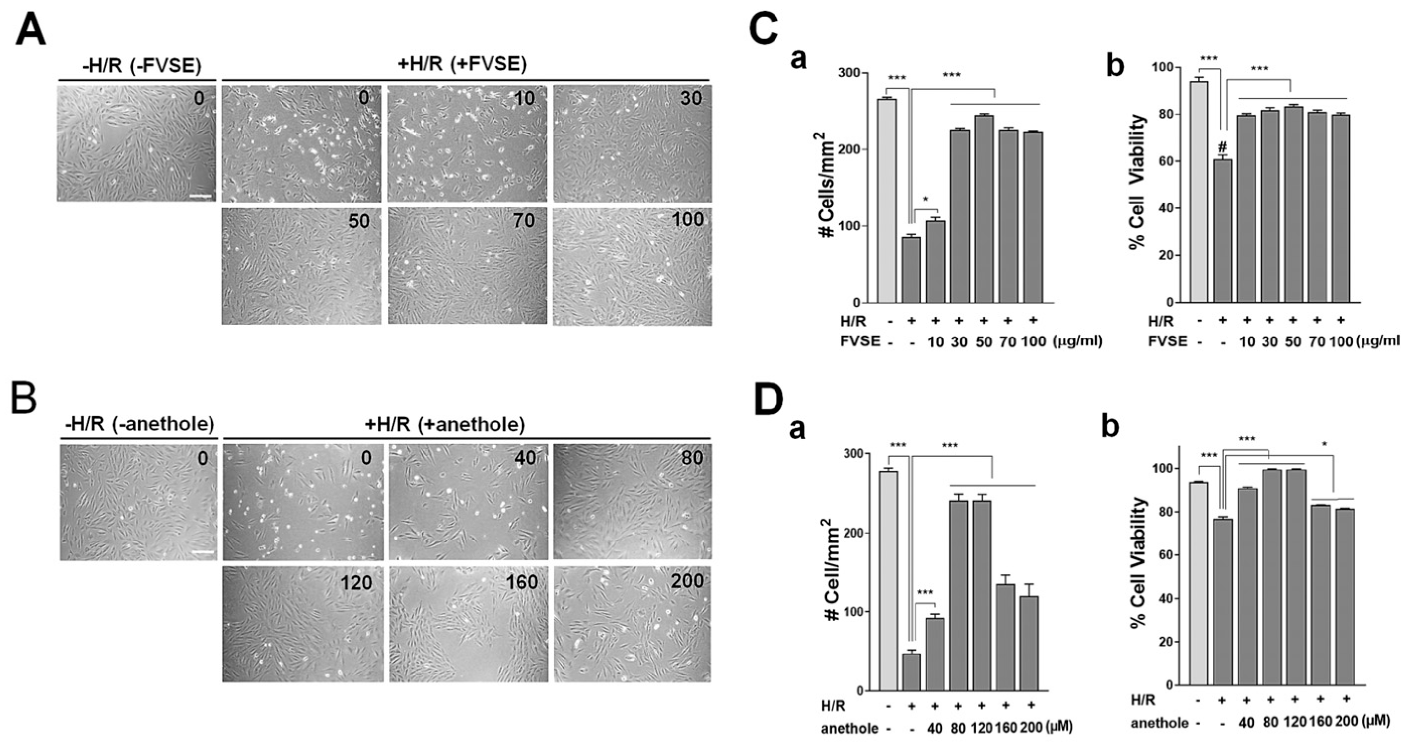 Antioxidants 13 01161 g004