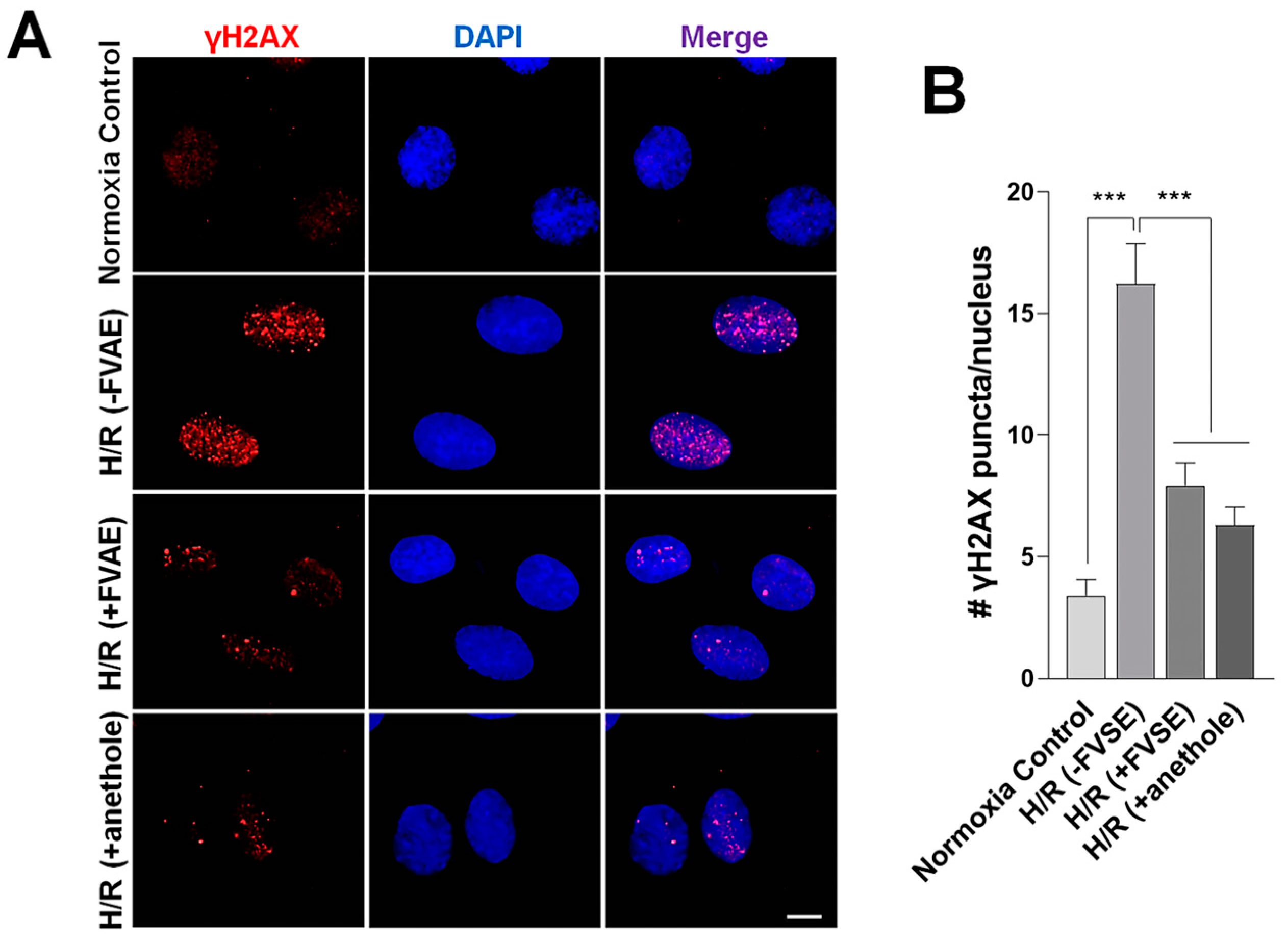 Antioxidants 13 01161 g006