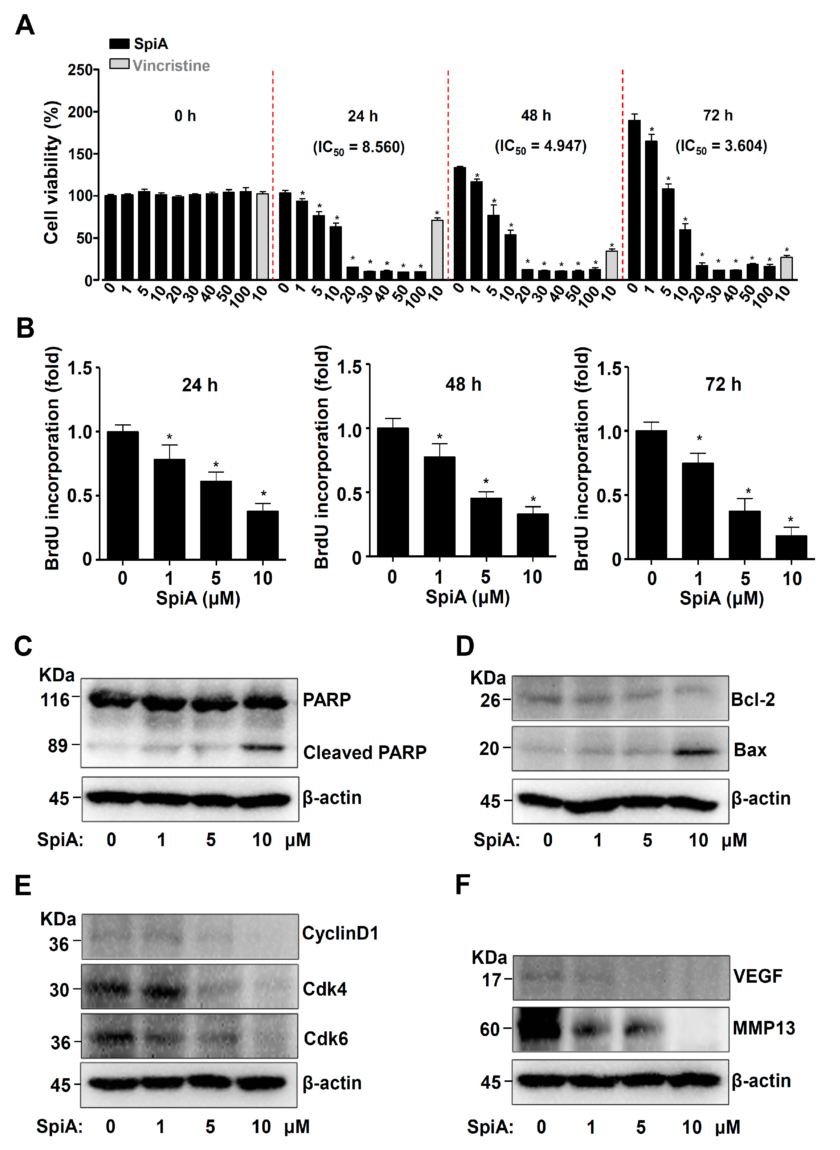 Antioxidants 13 01162 g002