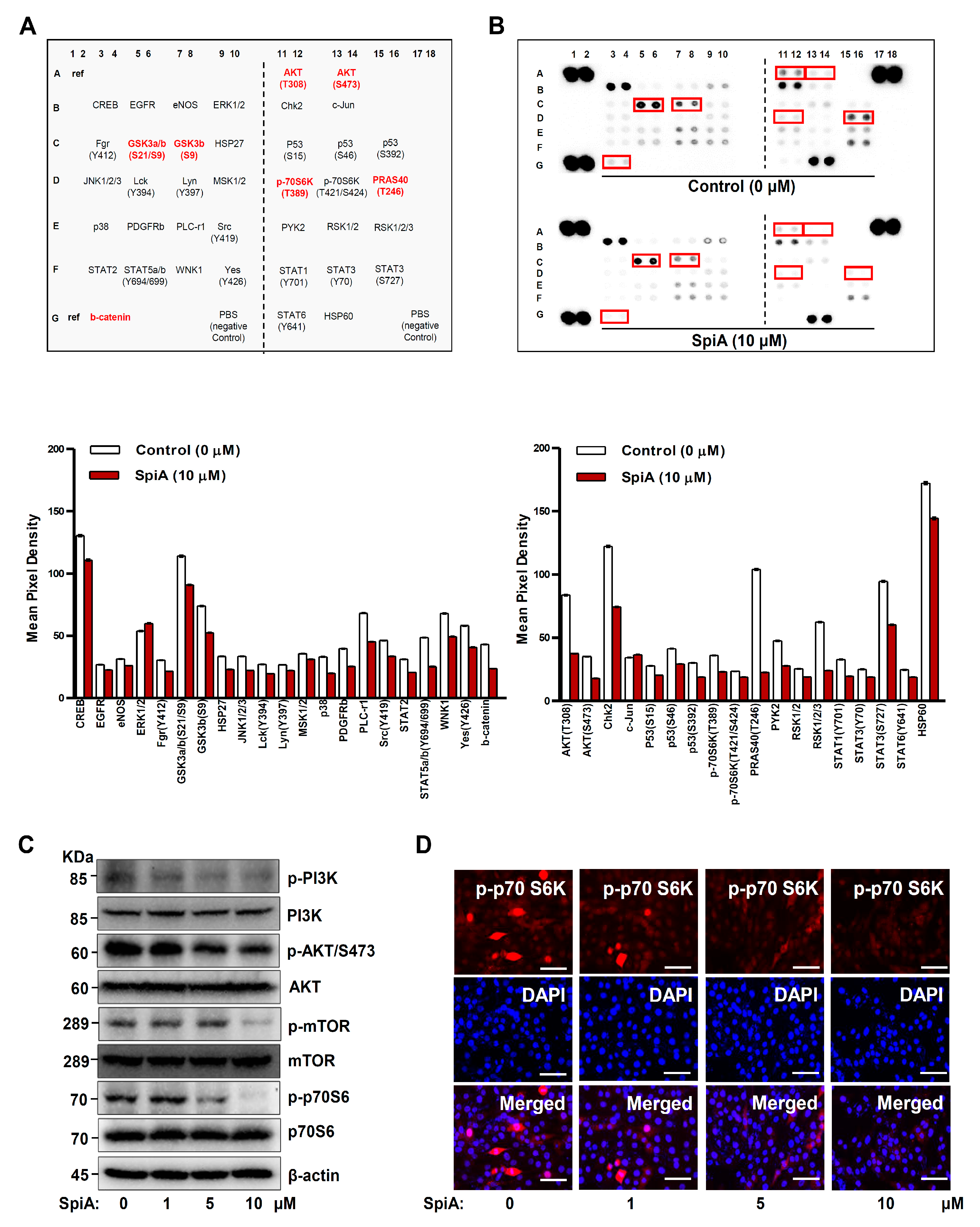 Antioxidants 13 01162 g003