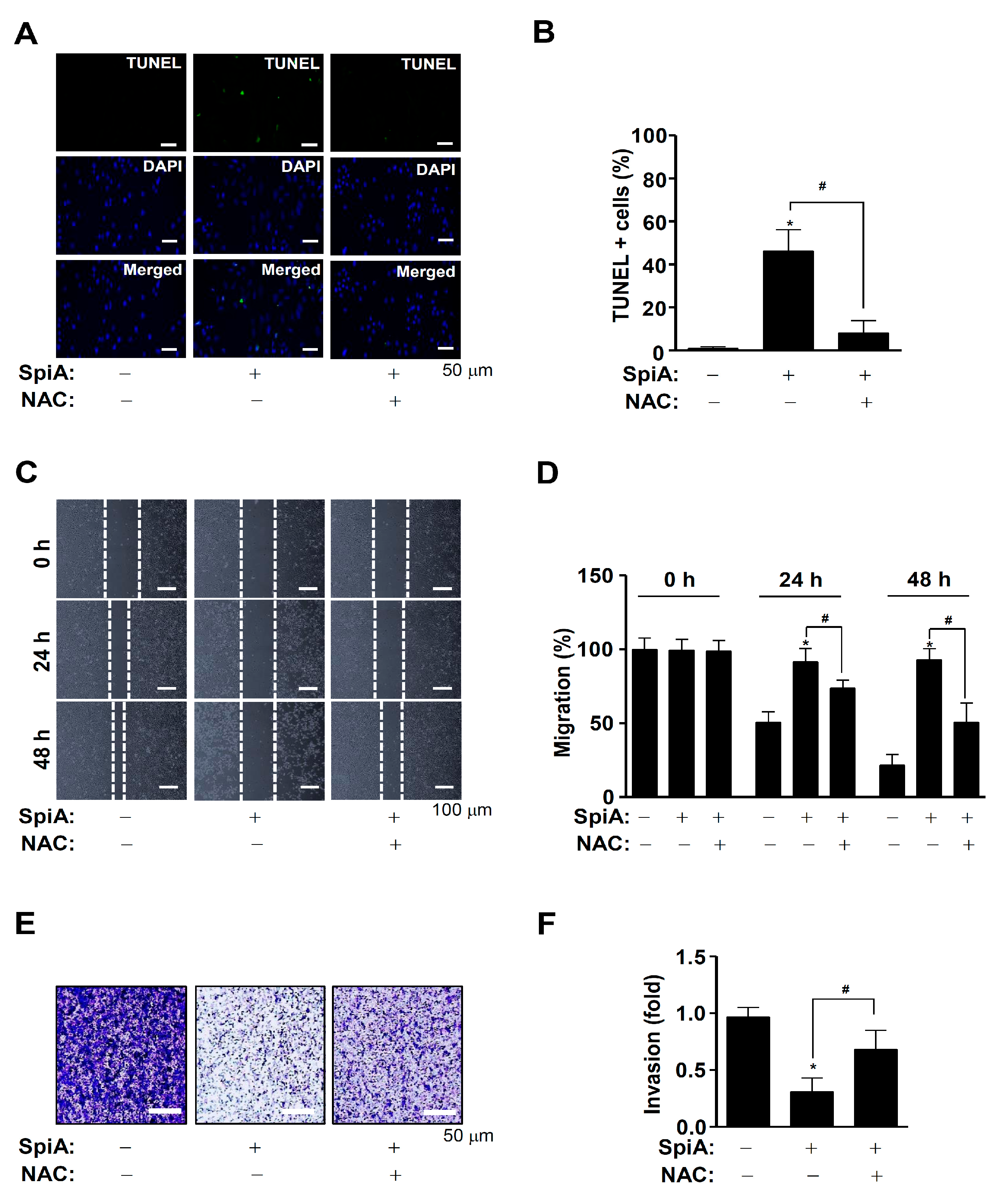 Antioxidants 13 01162 g006