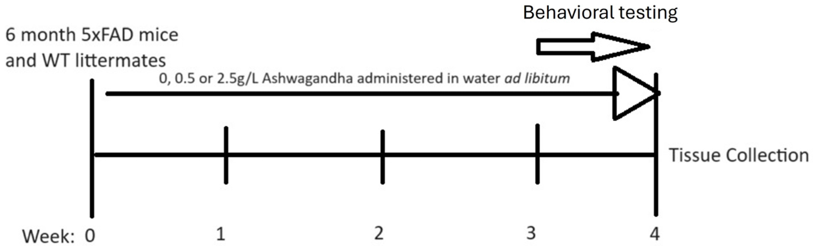 Antioxidants 13 01164 g001