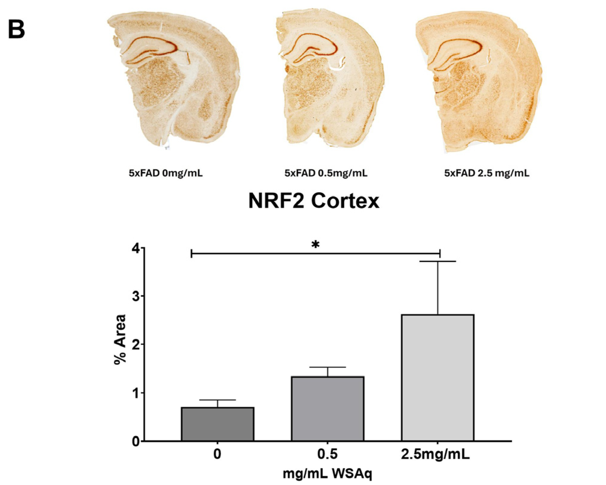 Antioxidants 13 01164 g008b