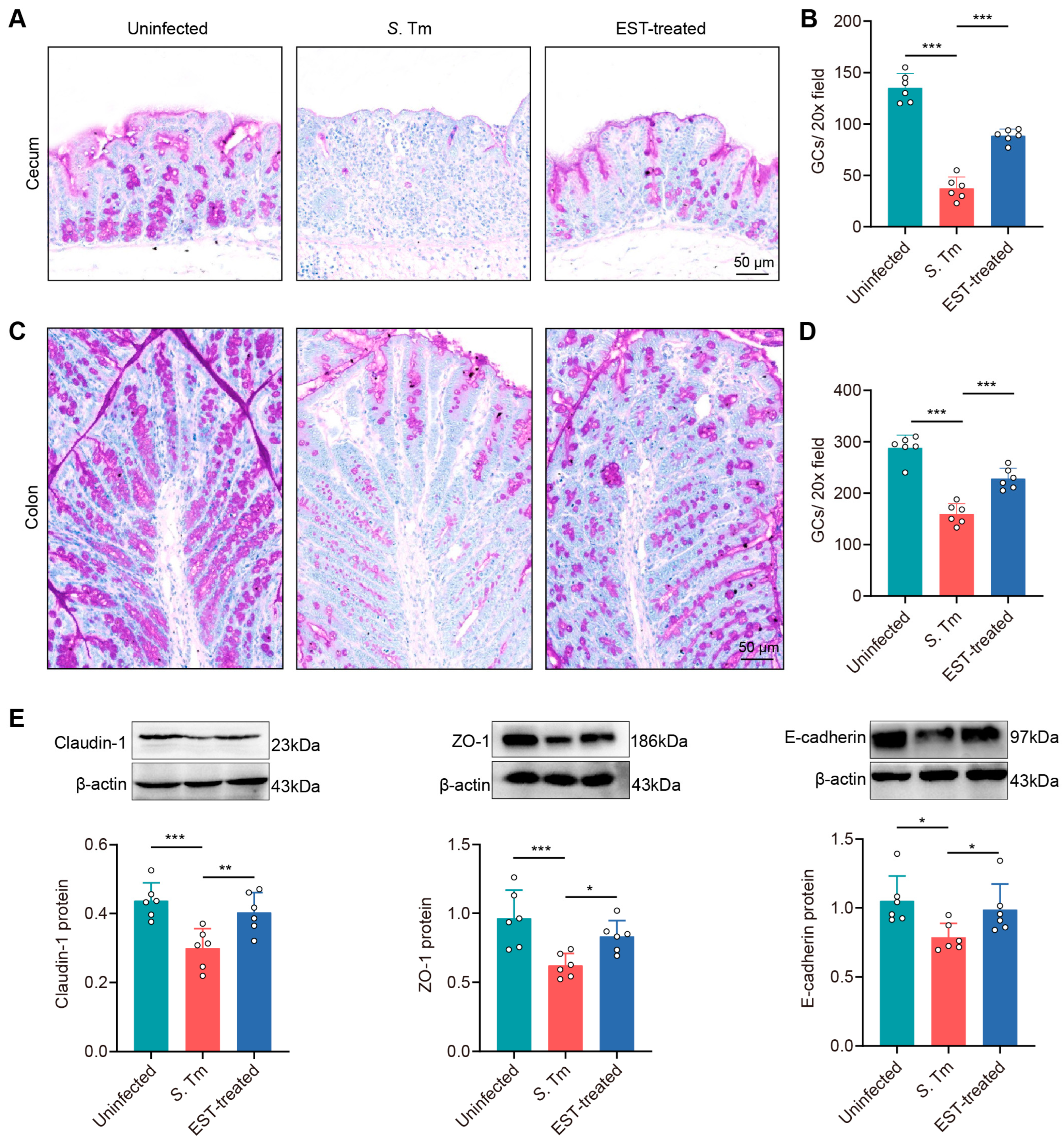 Antioxidants 13 01170 g006