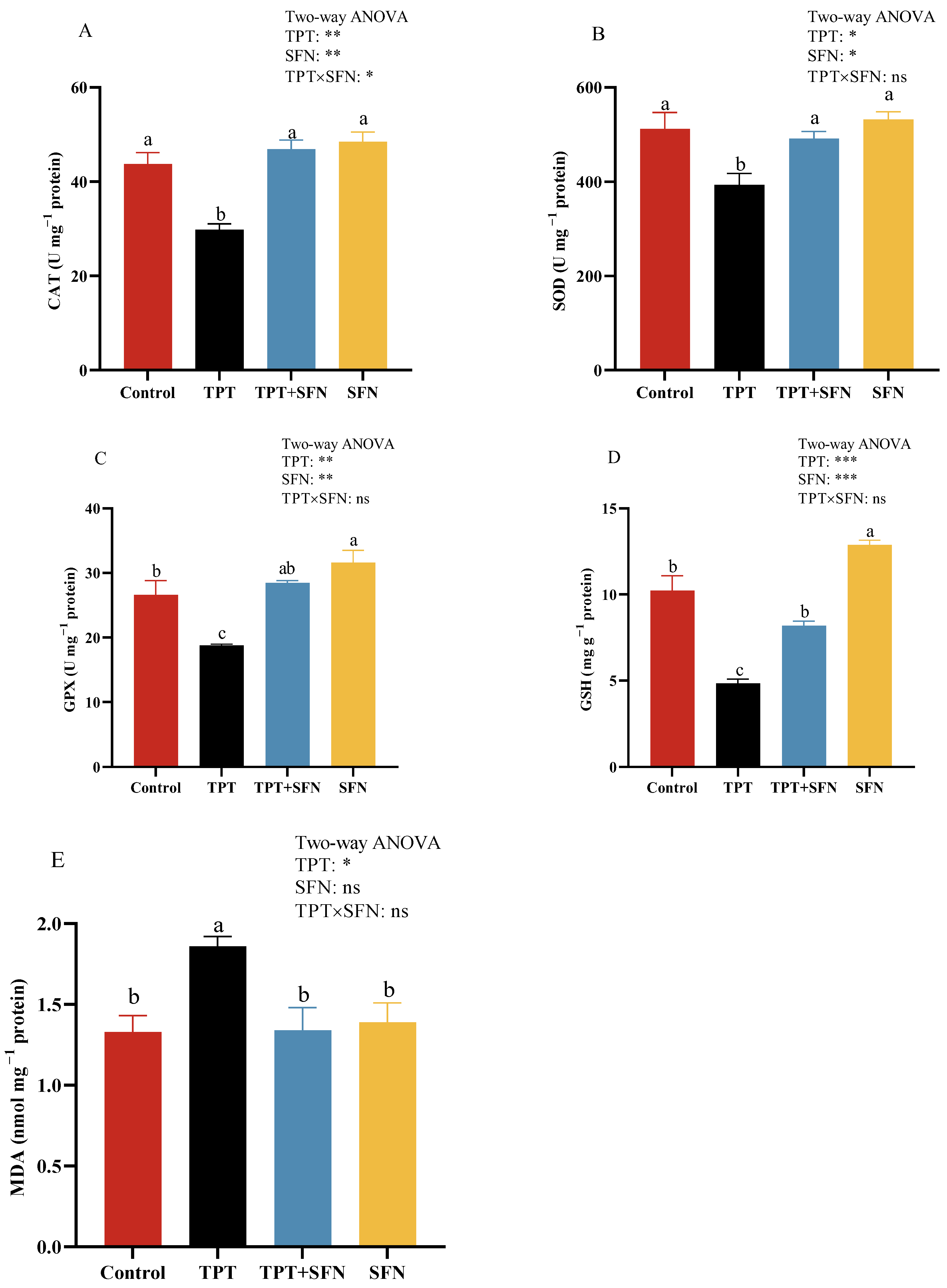 Antioxidants 13 01173 g004