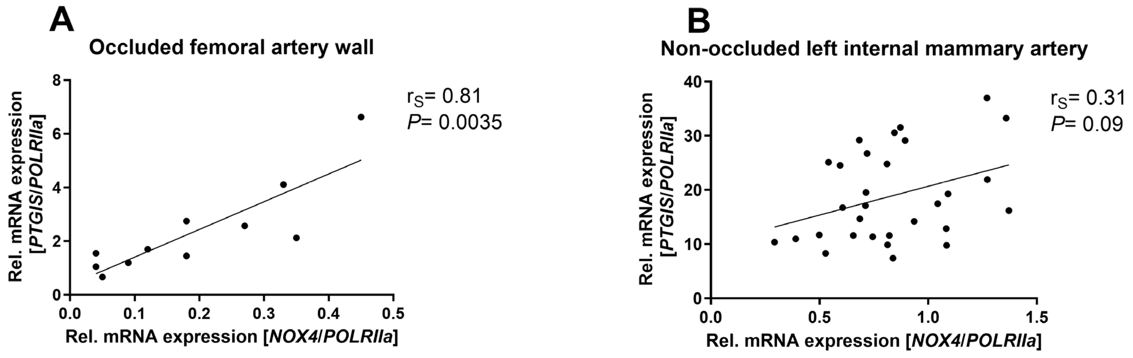 Antioxidants 13 01178 g001