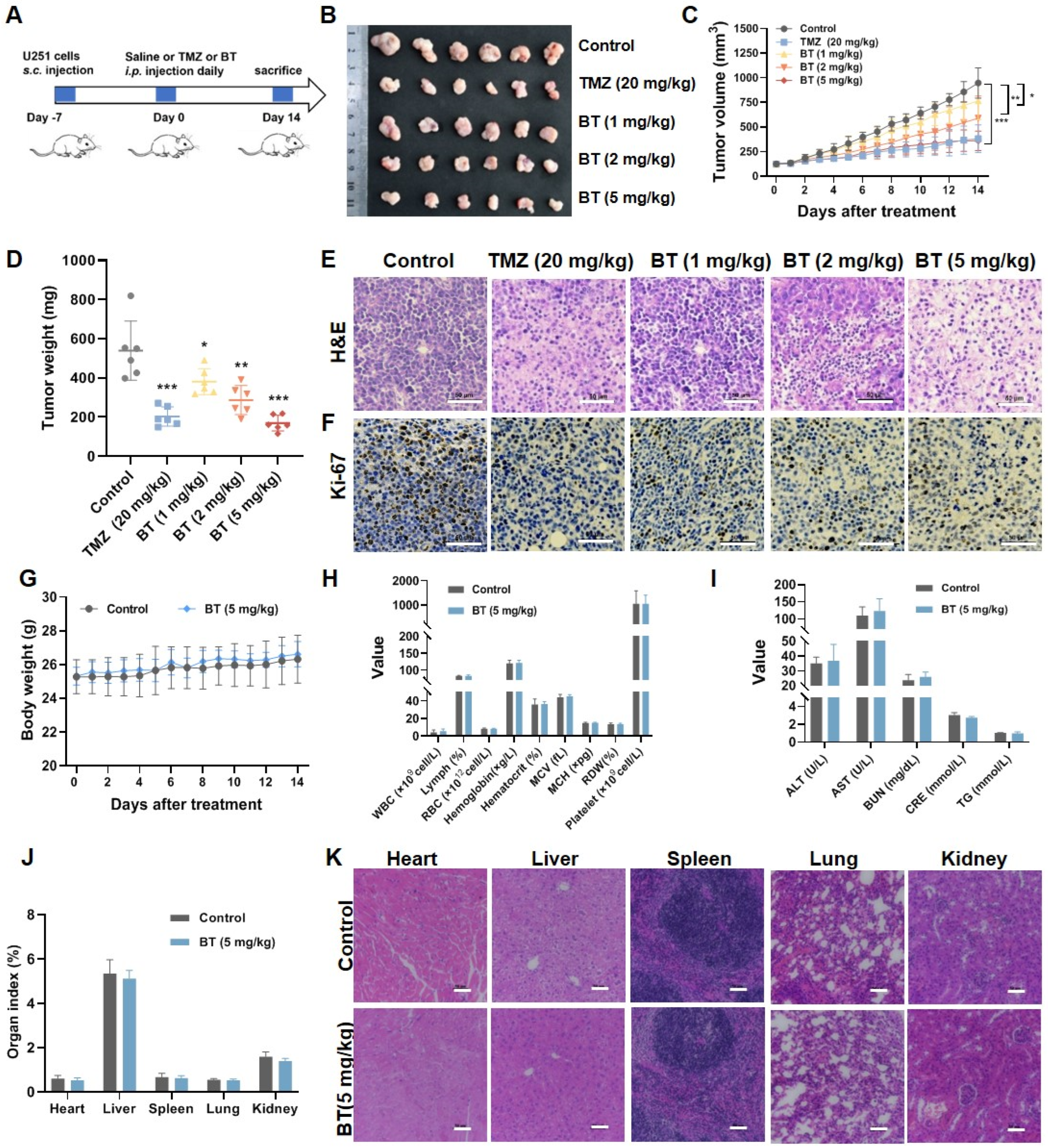 Antioxidants 13 01179 g002