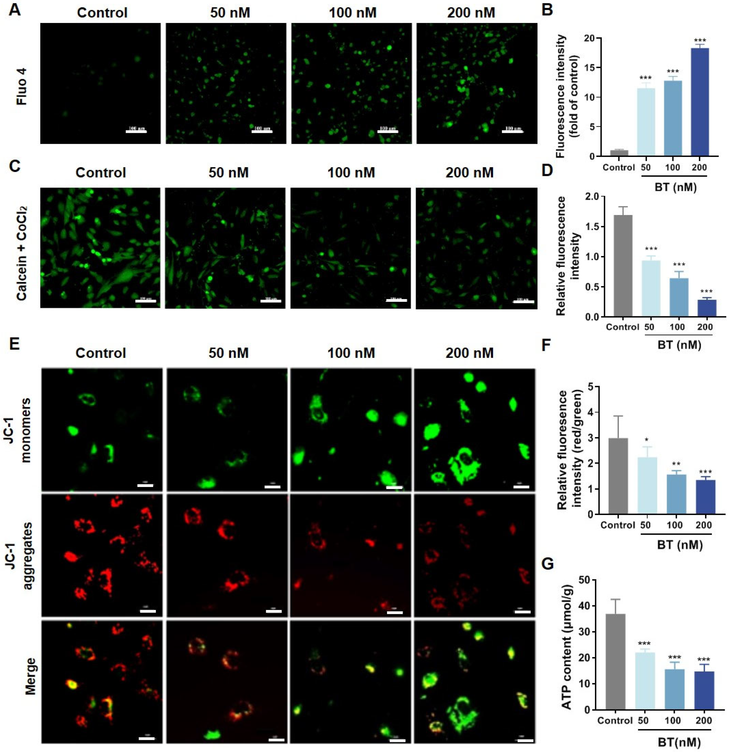 Antioxidants 13 01179 g006