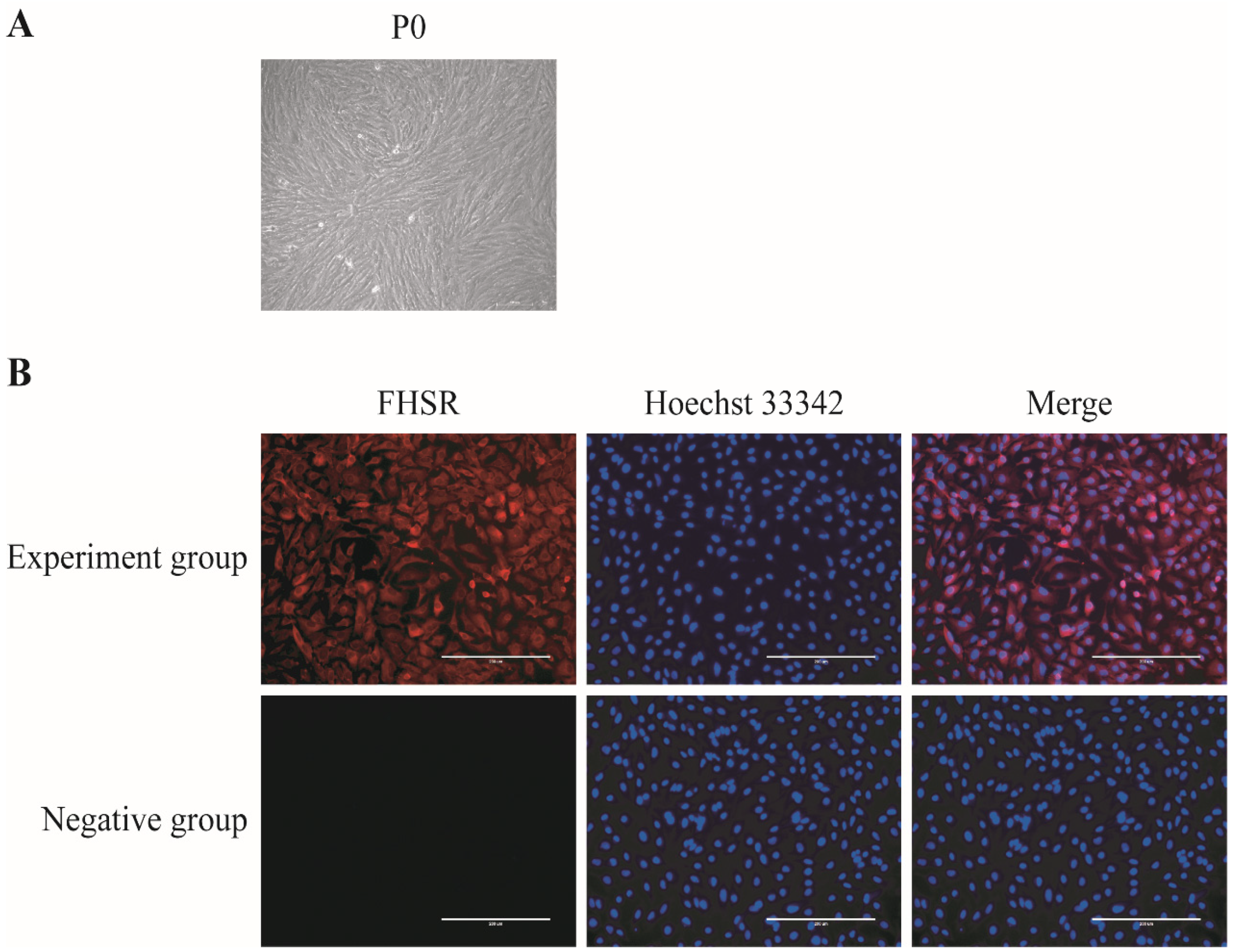 Antioxidants 13 01185 g001