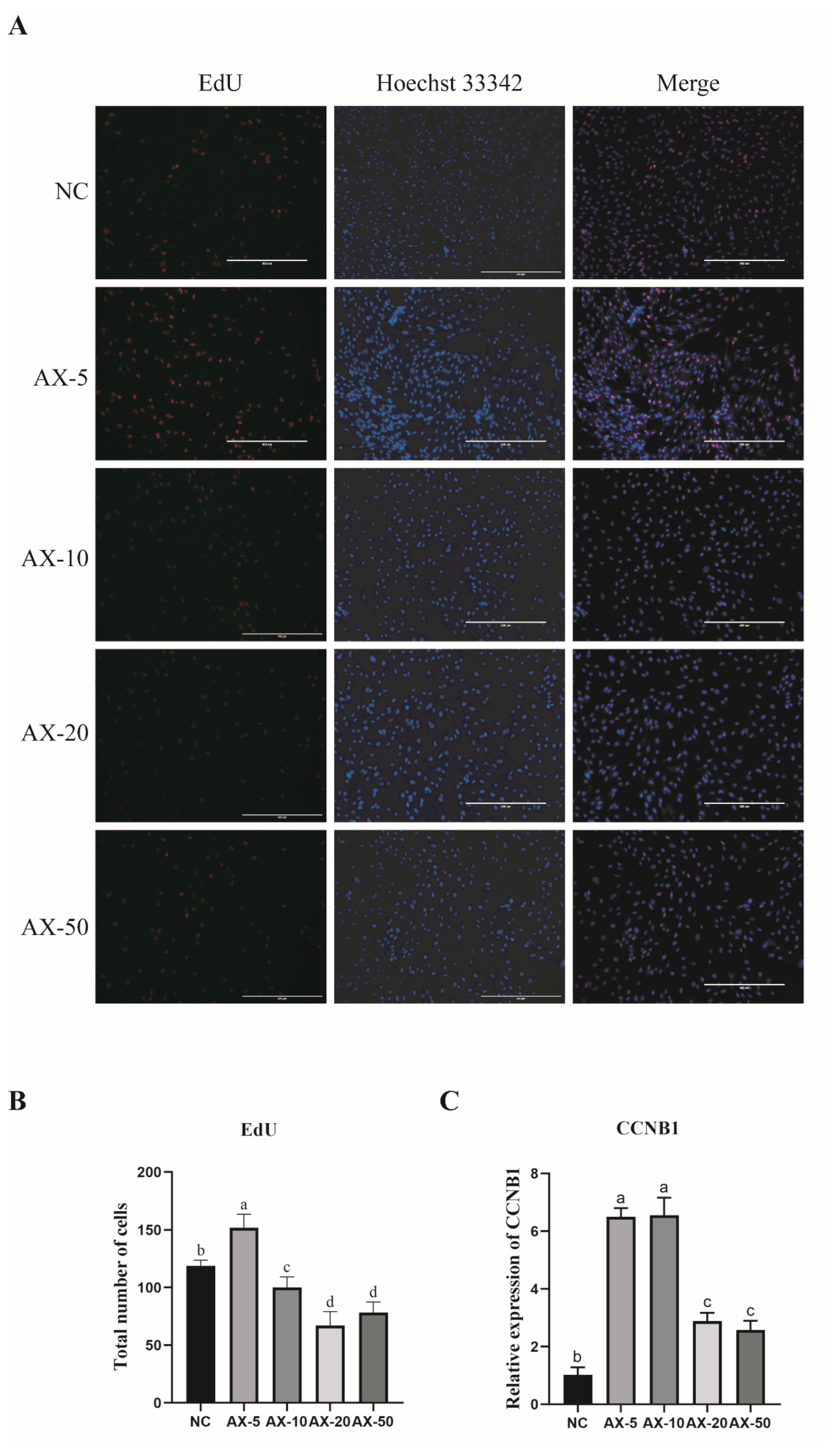 Antioxidants 13 01185 g004